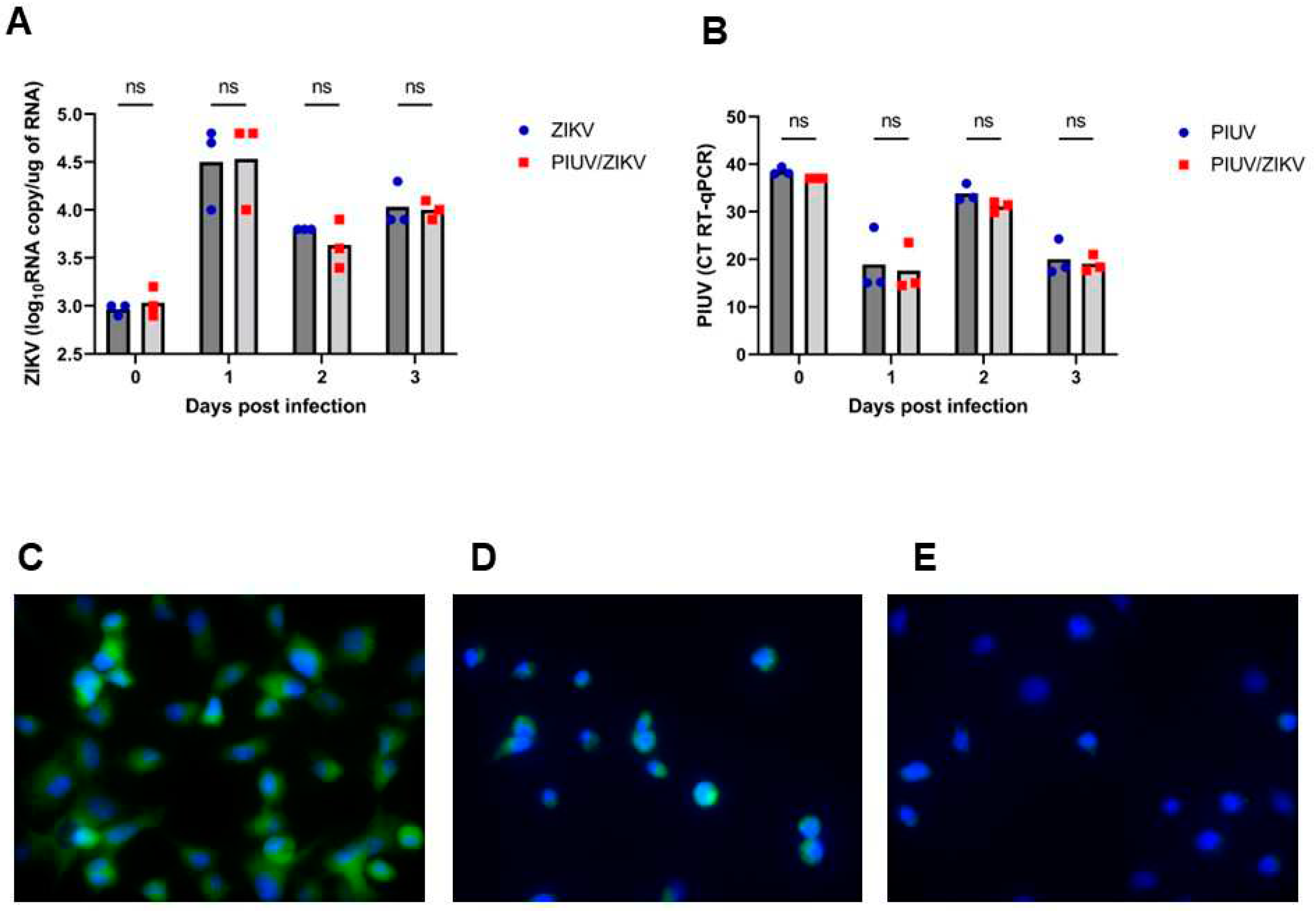 Preprints 97750 g004