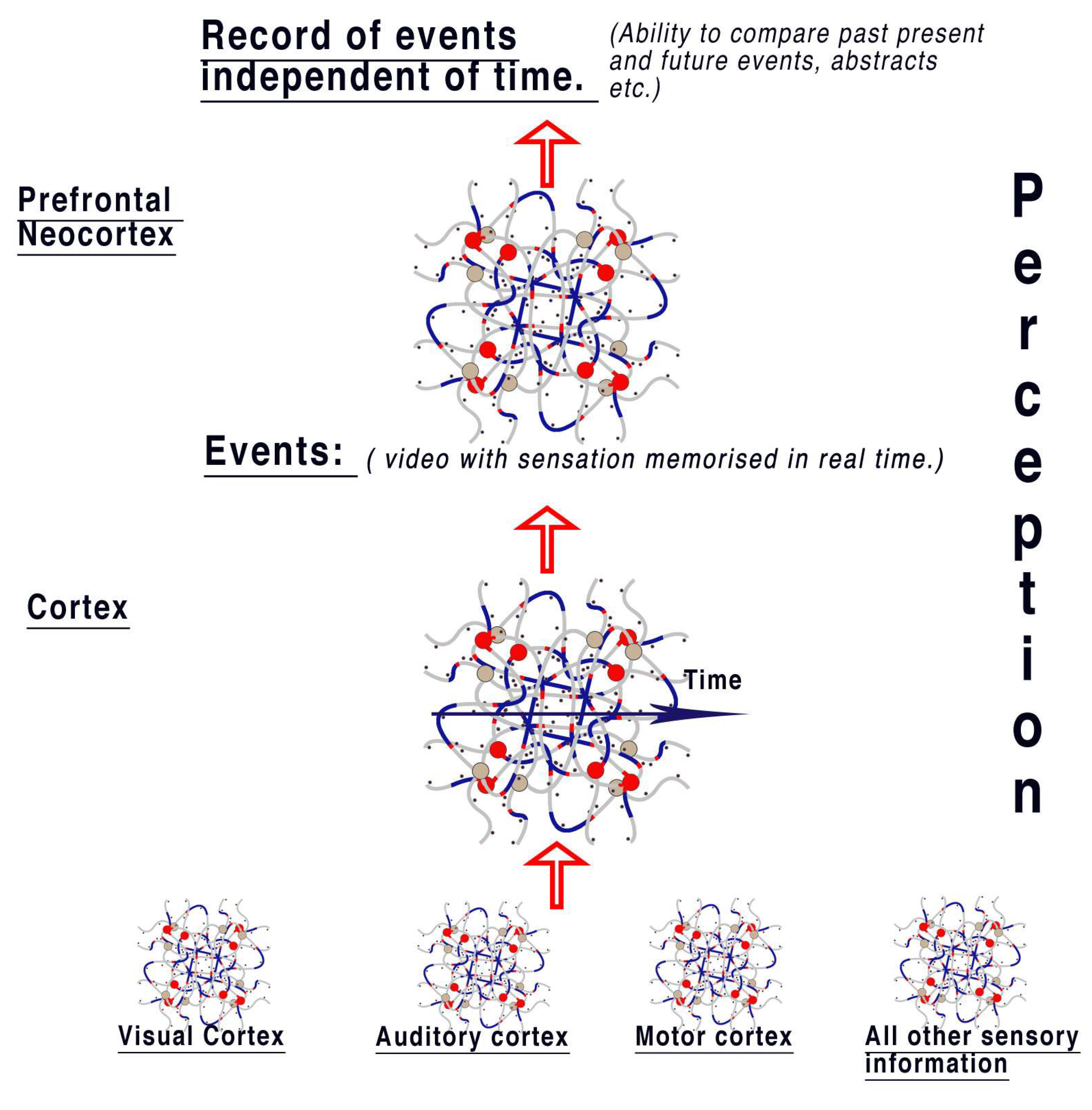 Preprints 88630 g006