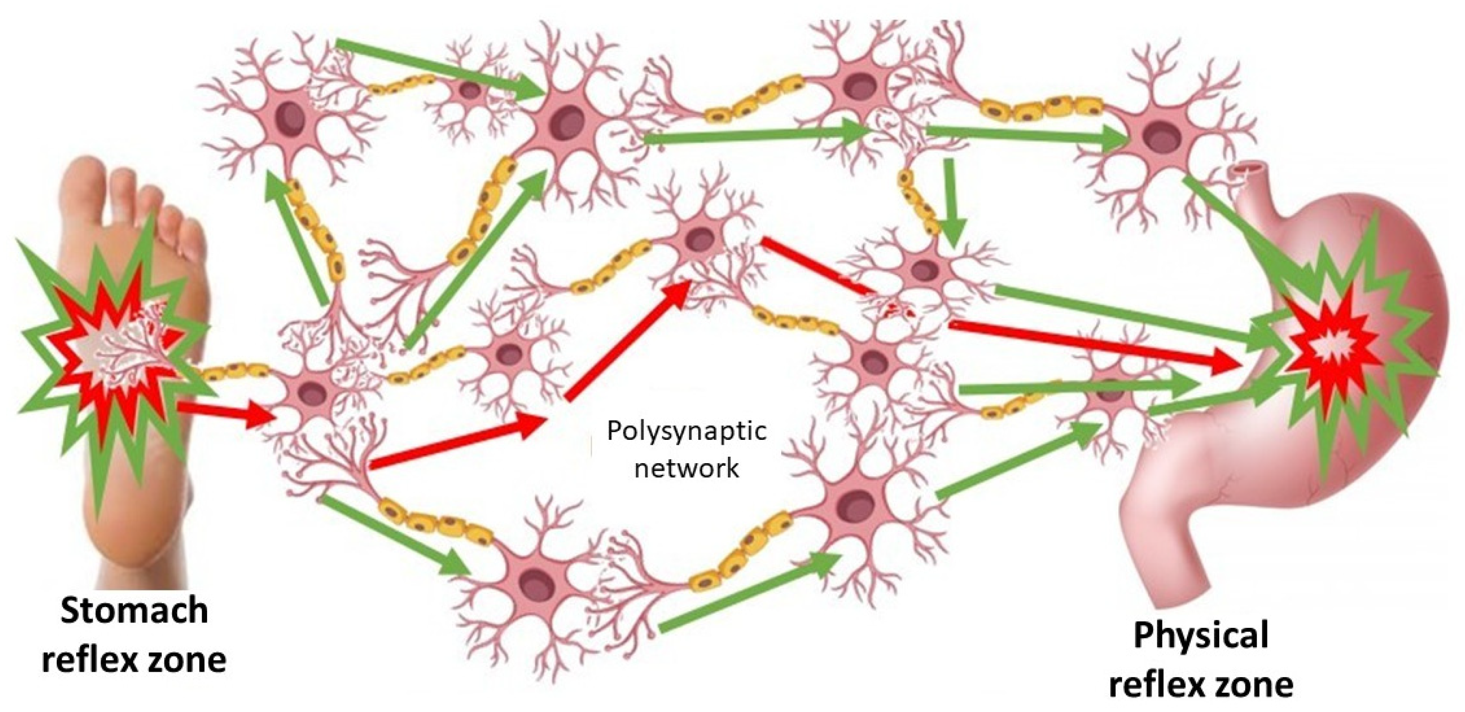 Preprints 182724 g002