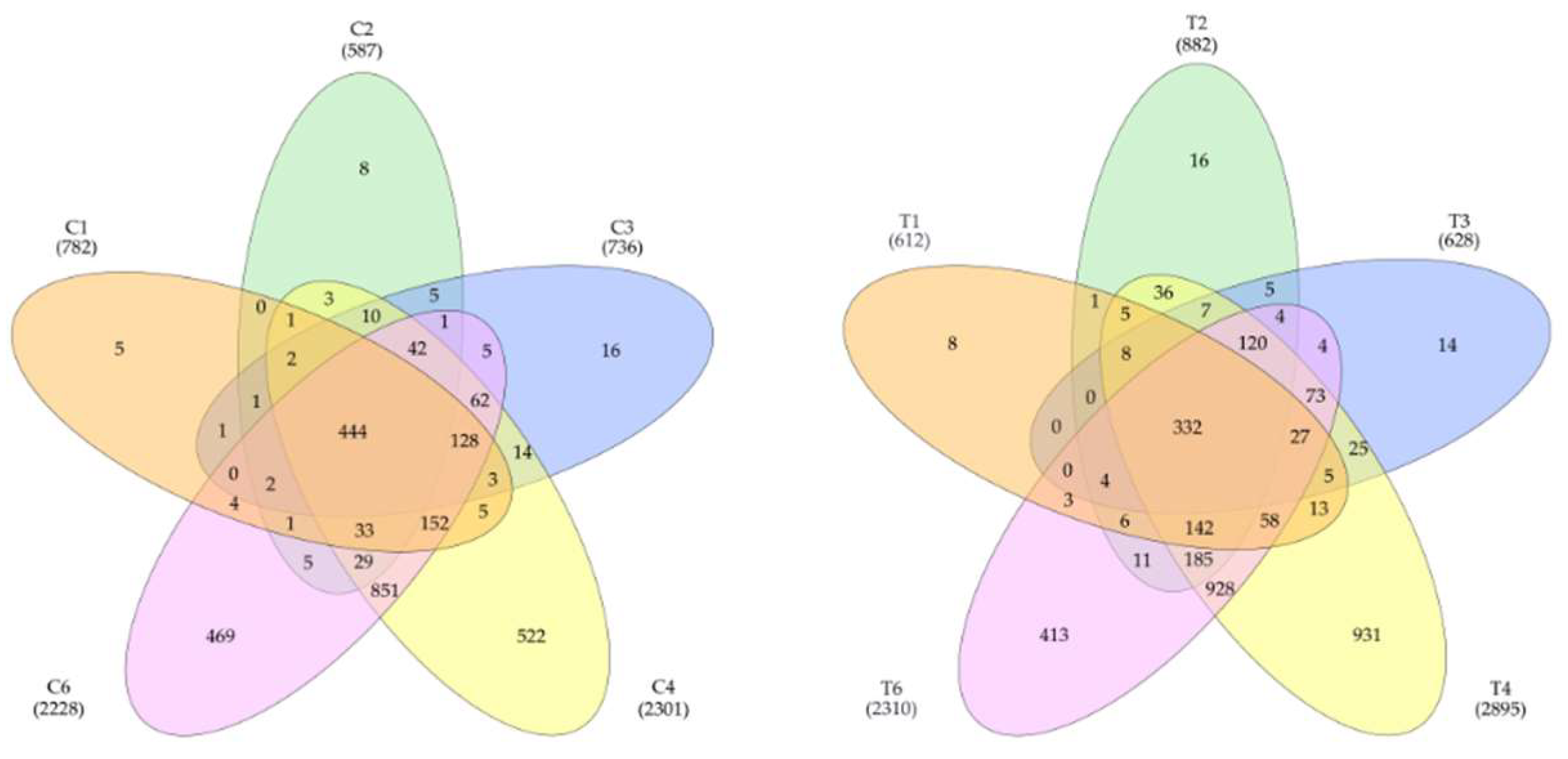 Preprints 158647 g001