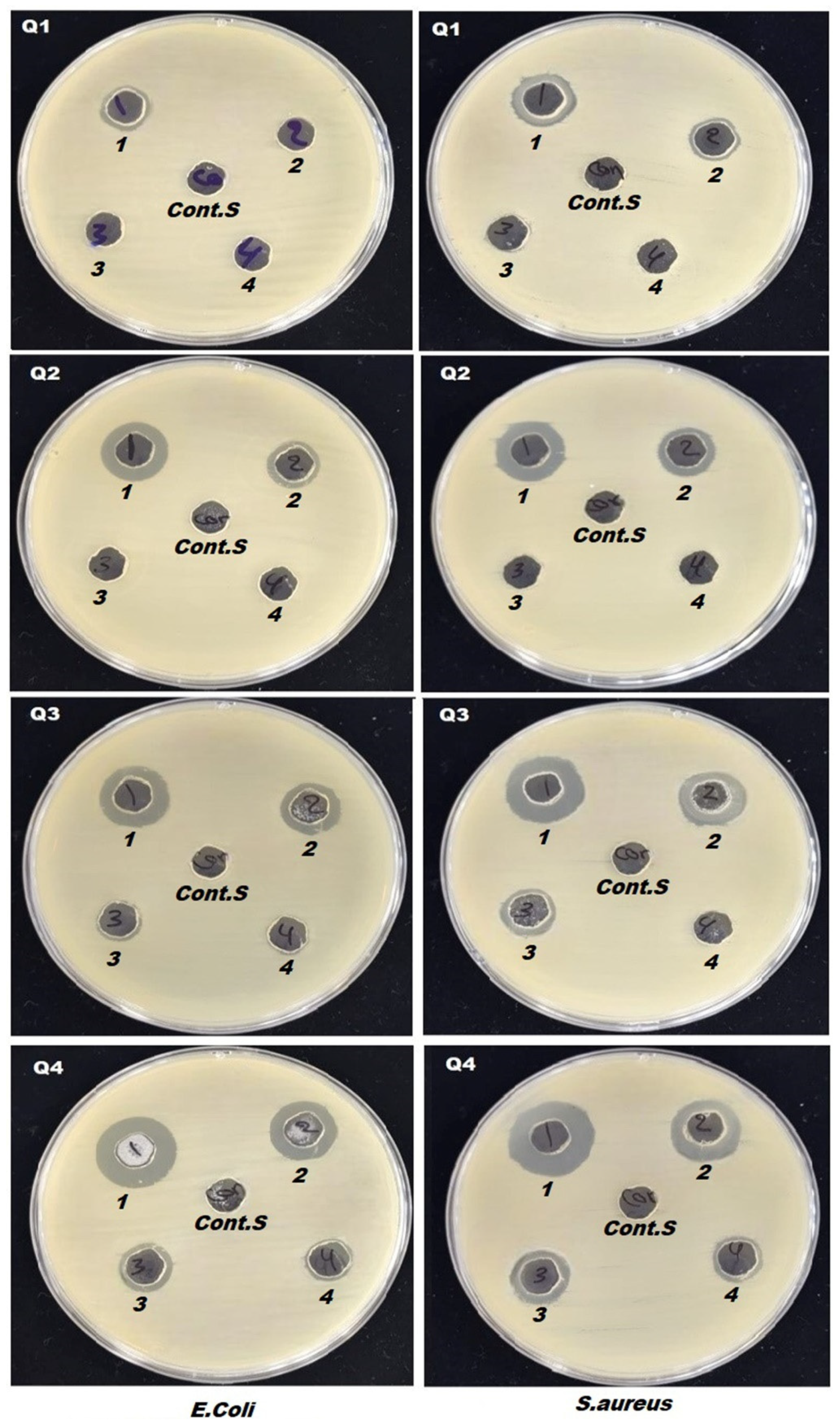 Preprints 154725 g009