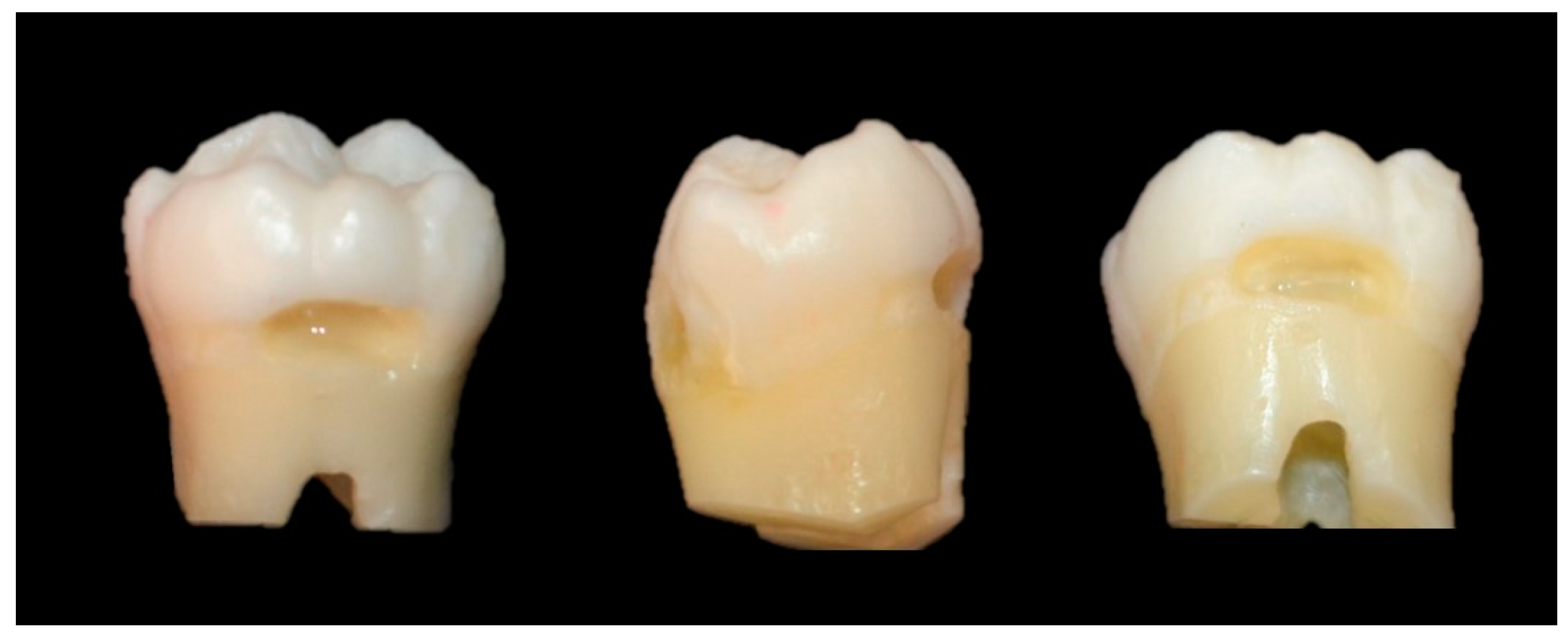 Preprints 113441 g001