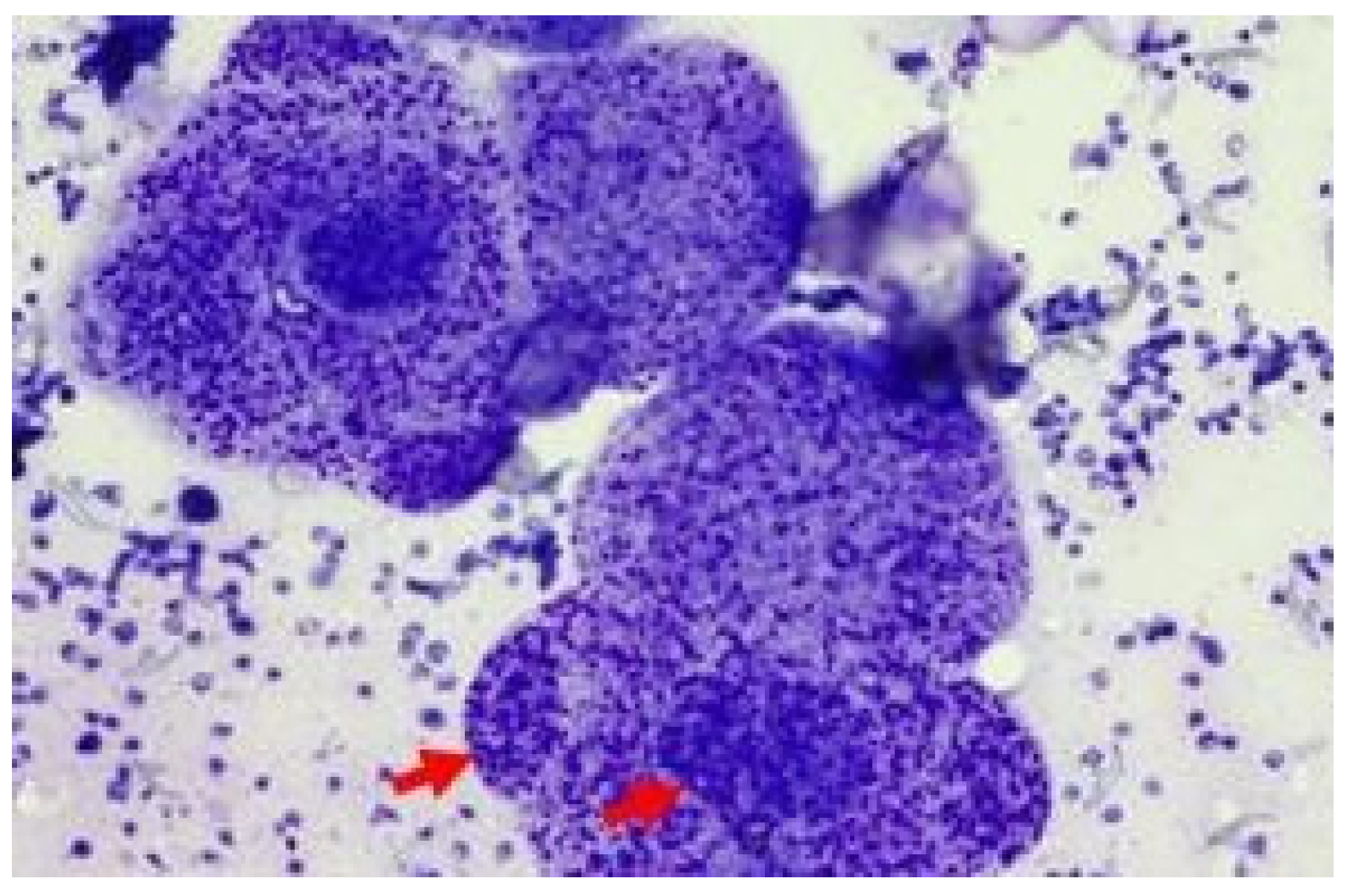 Preprints 169751 g004