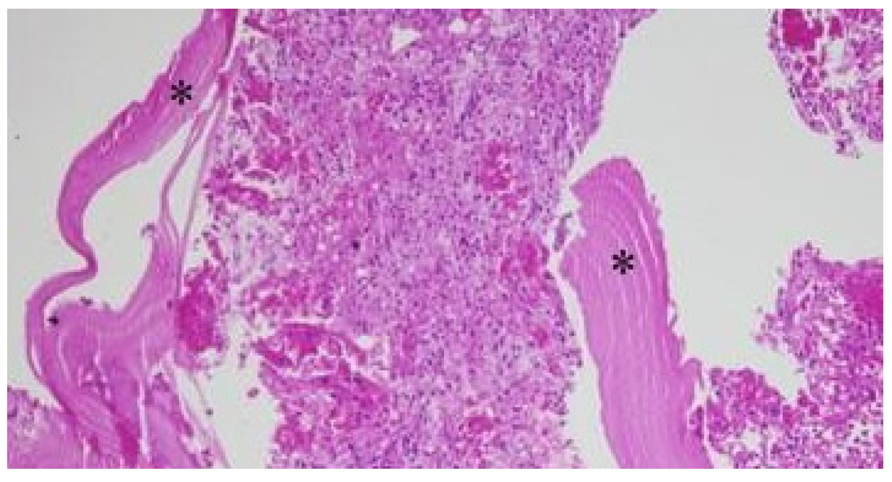 Preprints 169751 g007