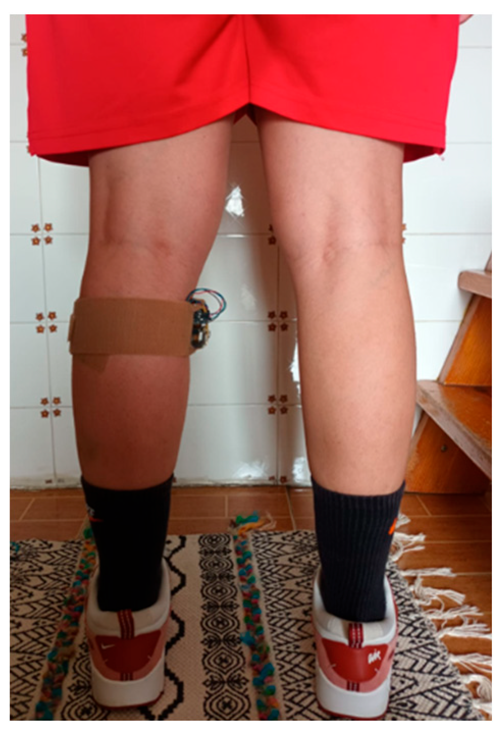 Preprints 180729 g002