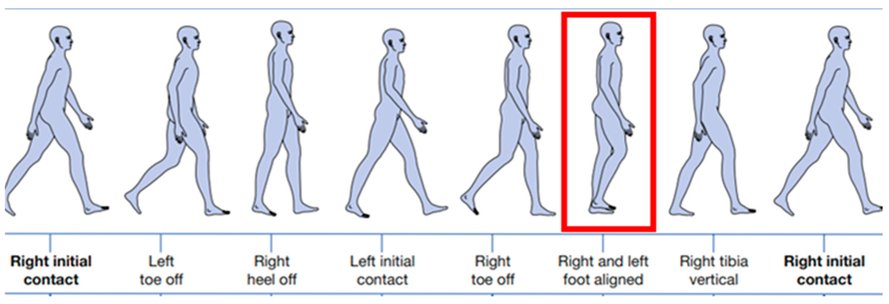 Preprints 180729 g003