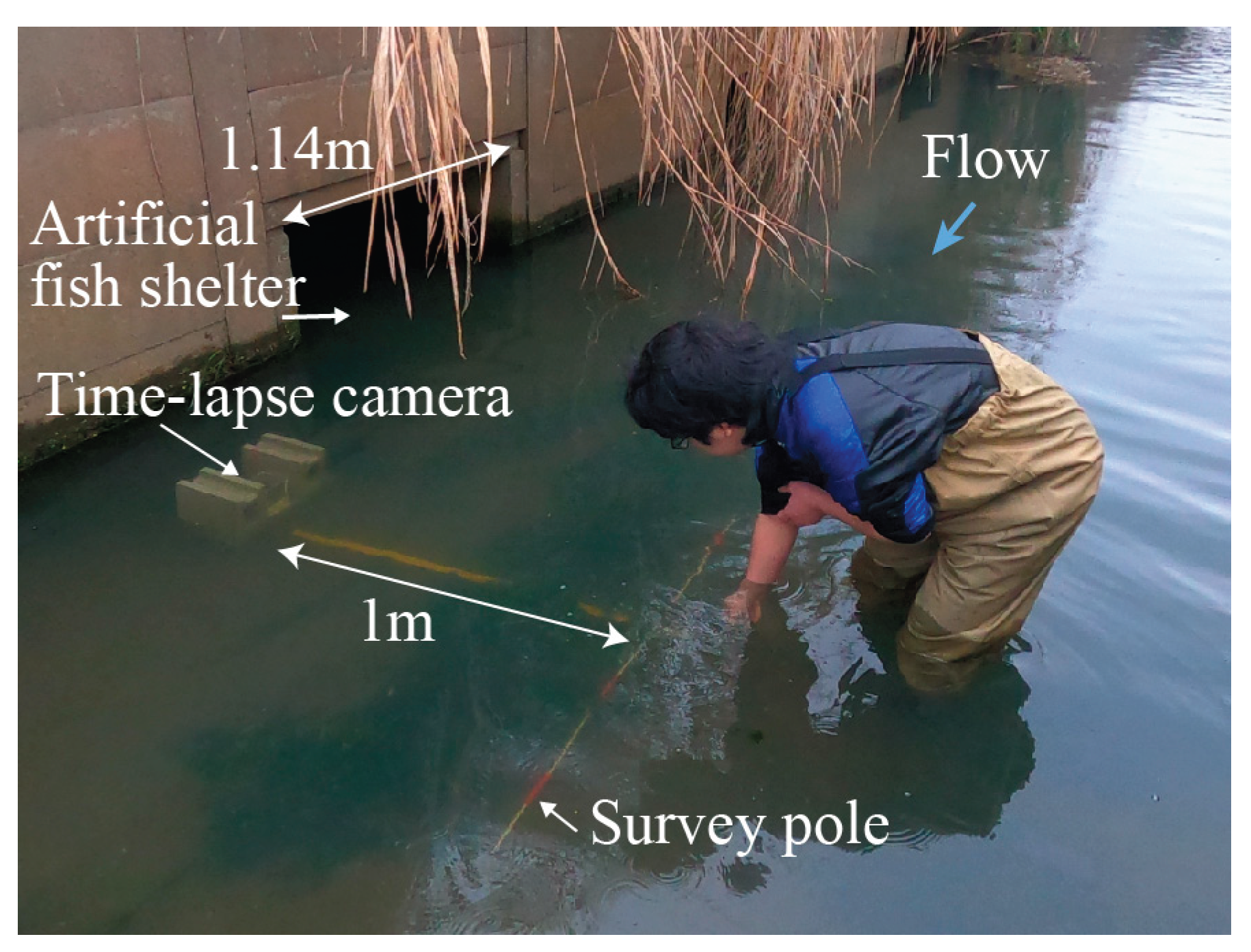 Preprints 168683 g001