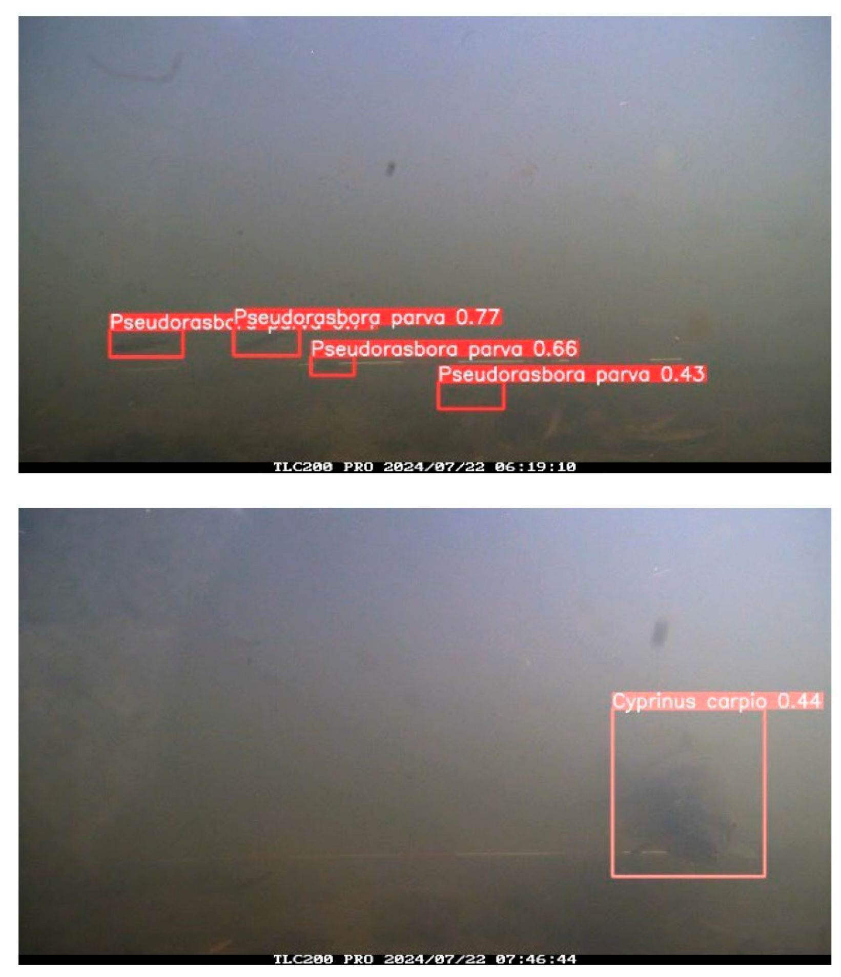 Preprints 168683 g004