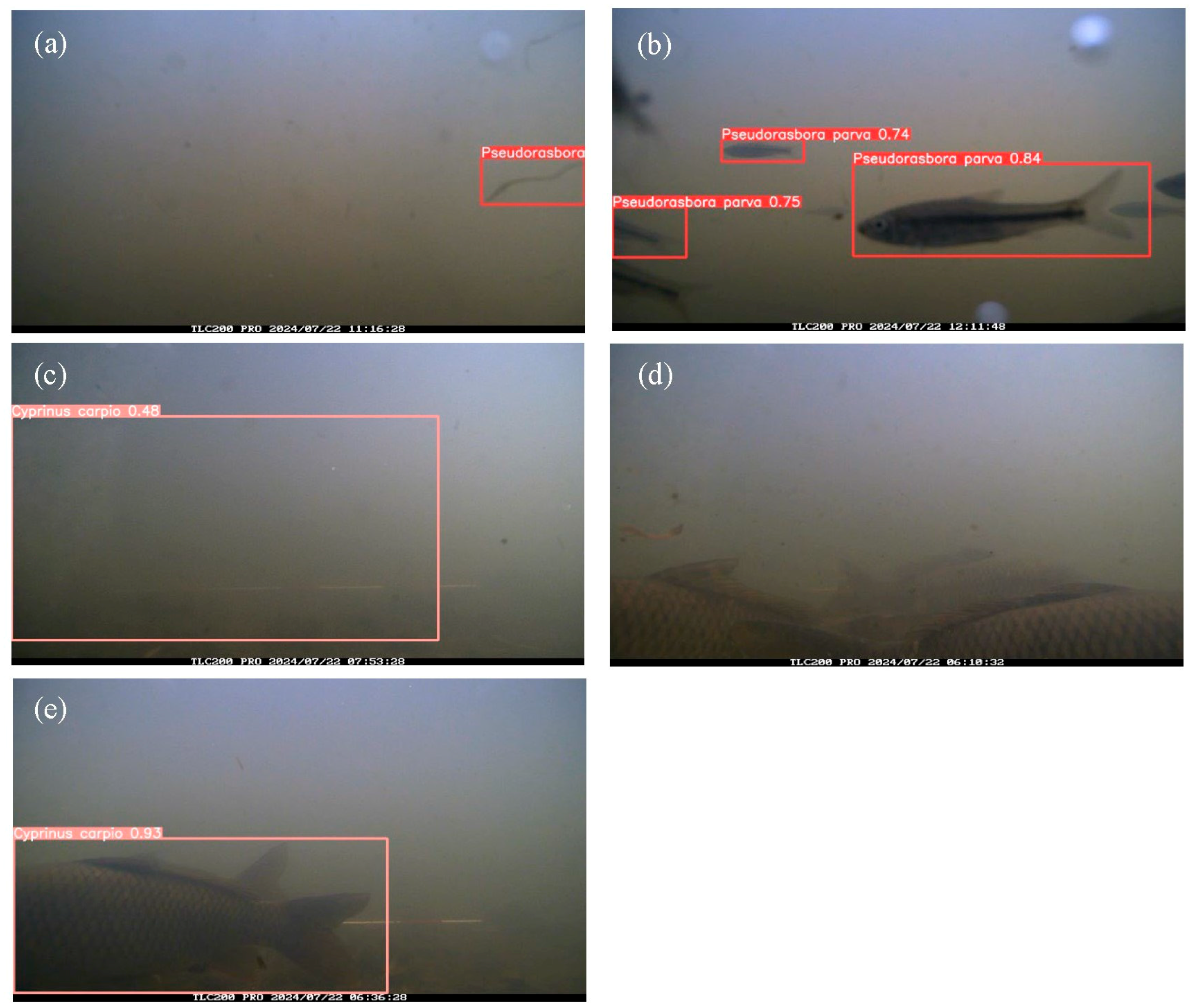 Preprints 168683 g005