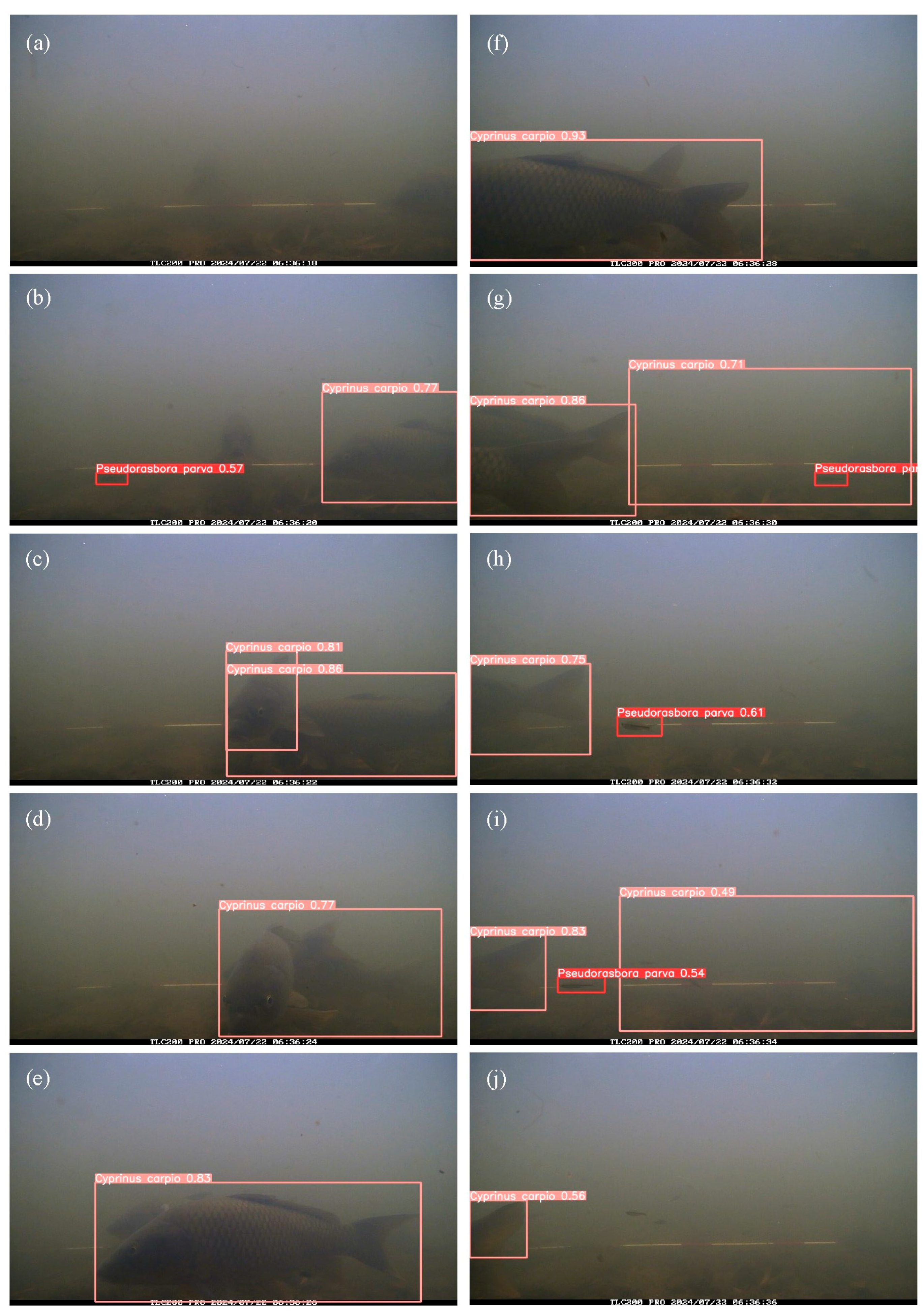 Preprints 168683 g008