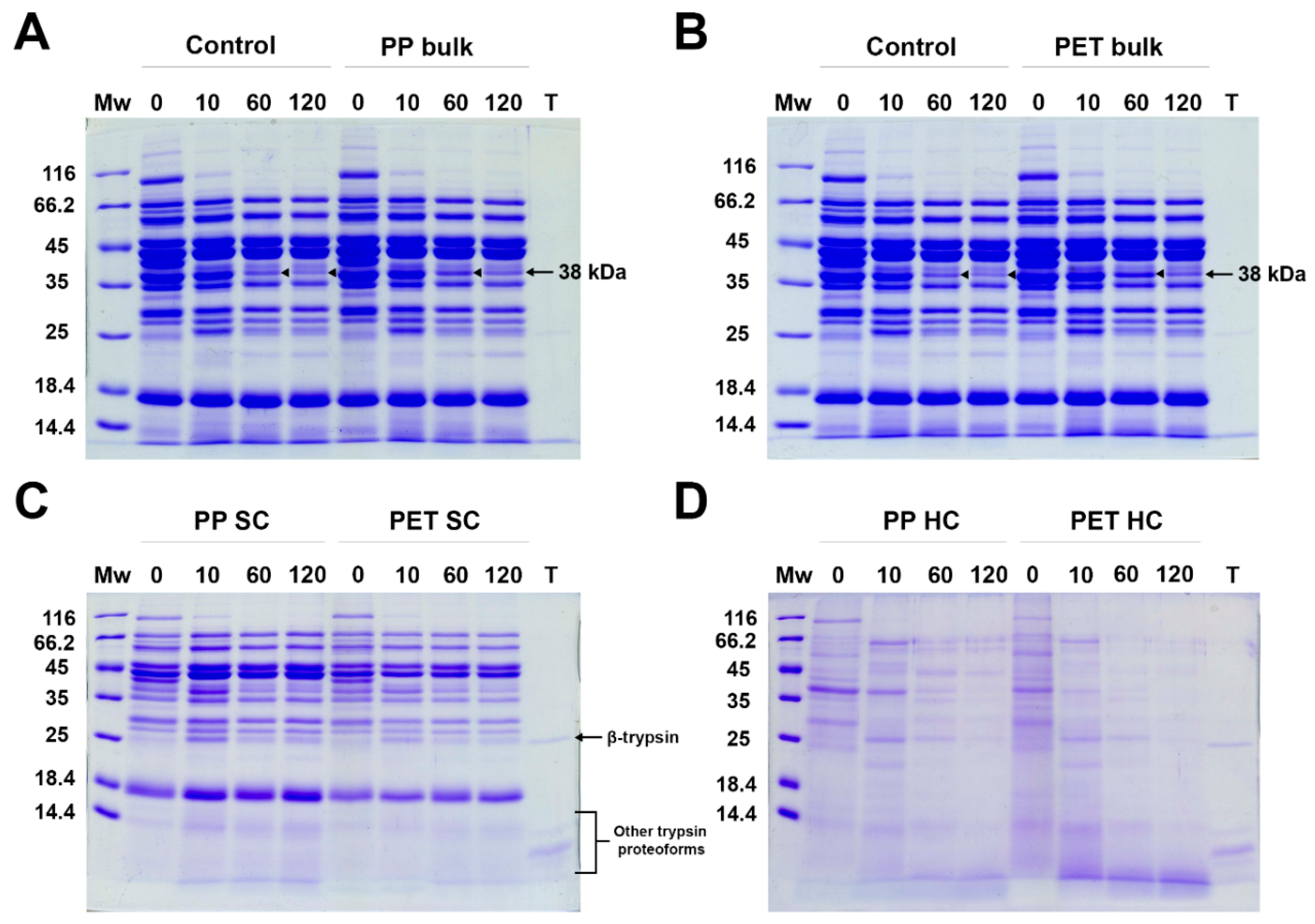Preprints 160754 g006