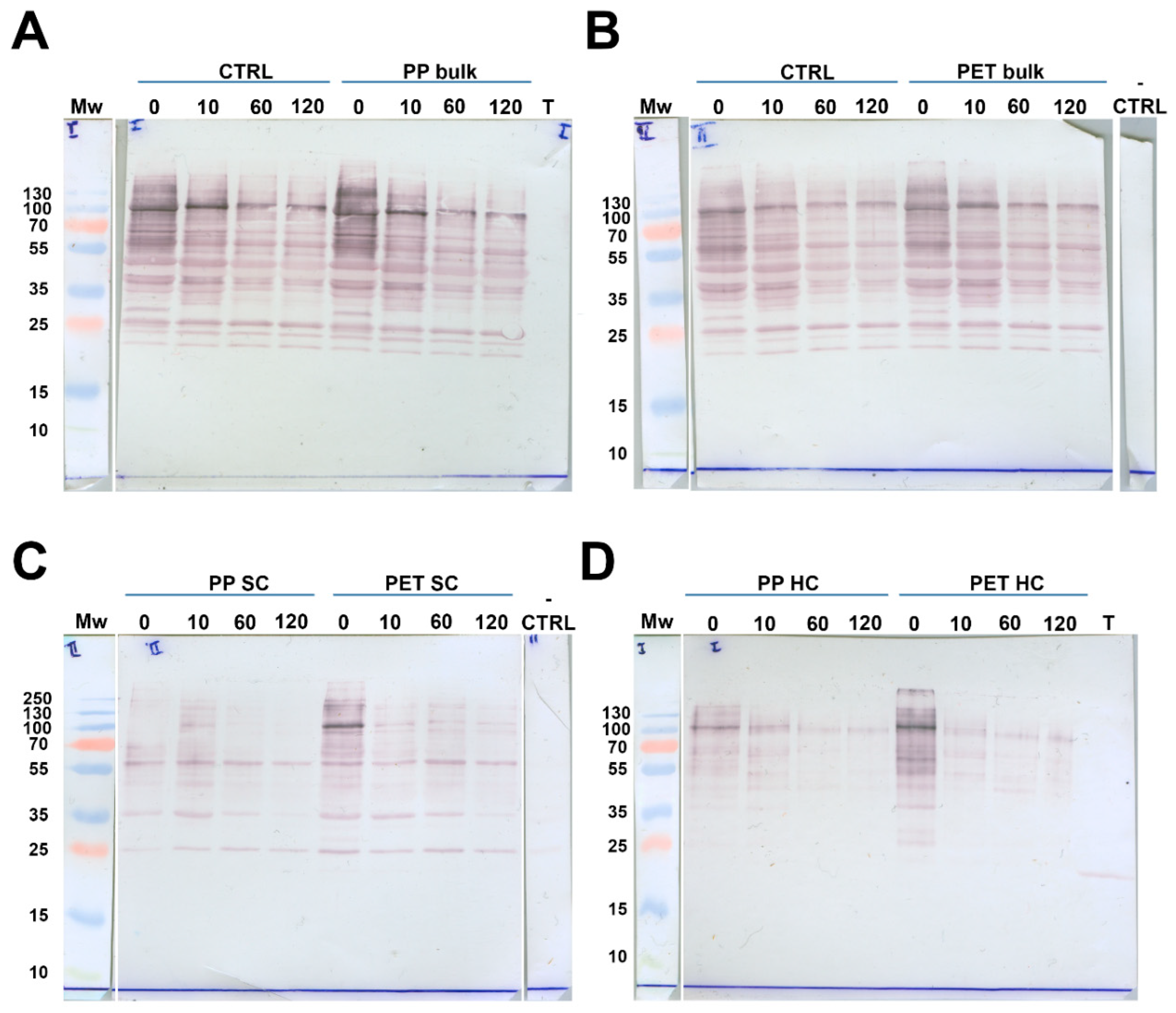 Preprints 160754 g007