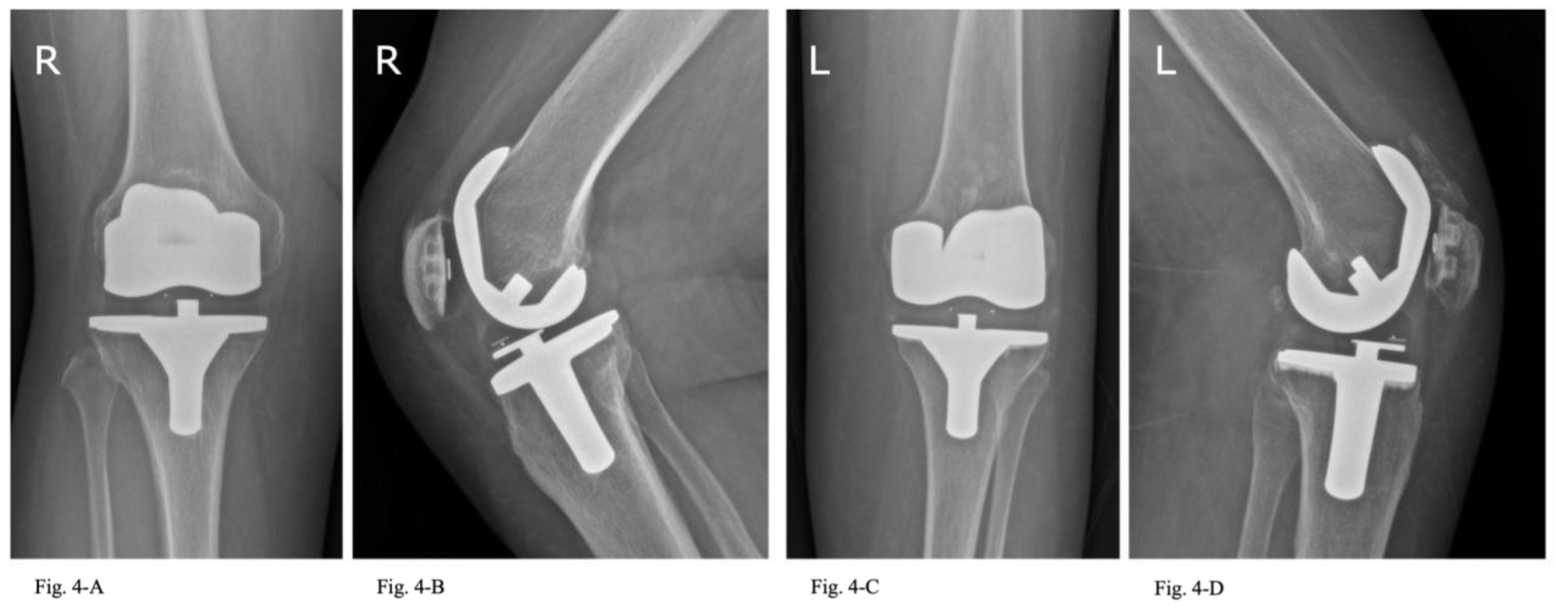Preprints 153663 g004