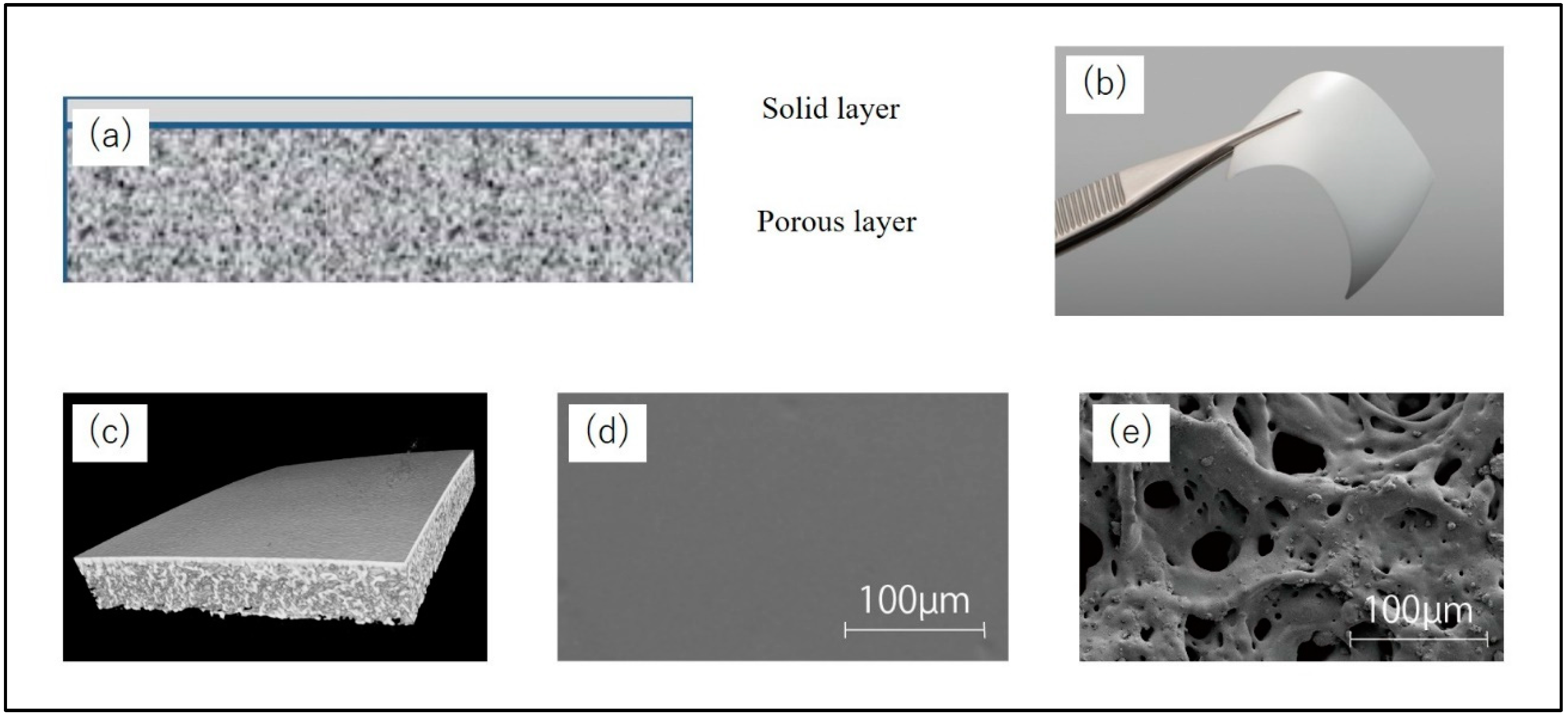 Preprints 83348 g002