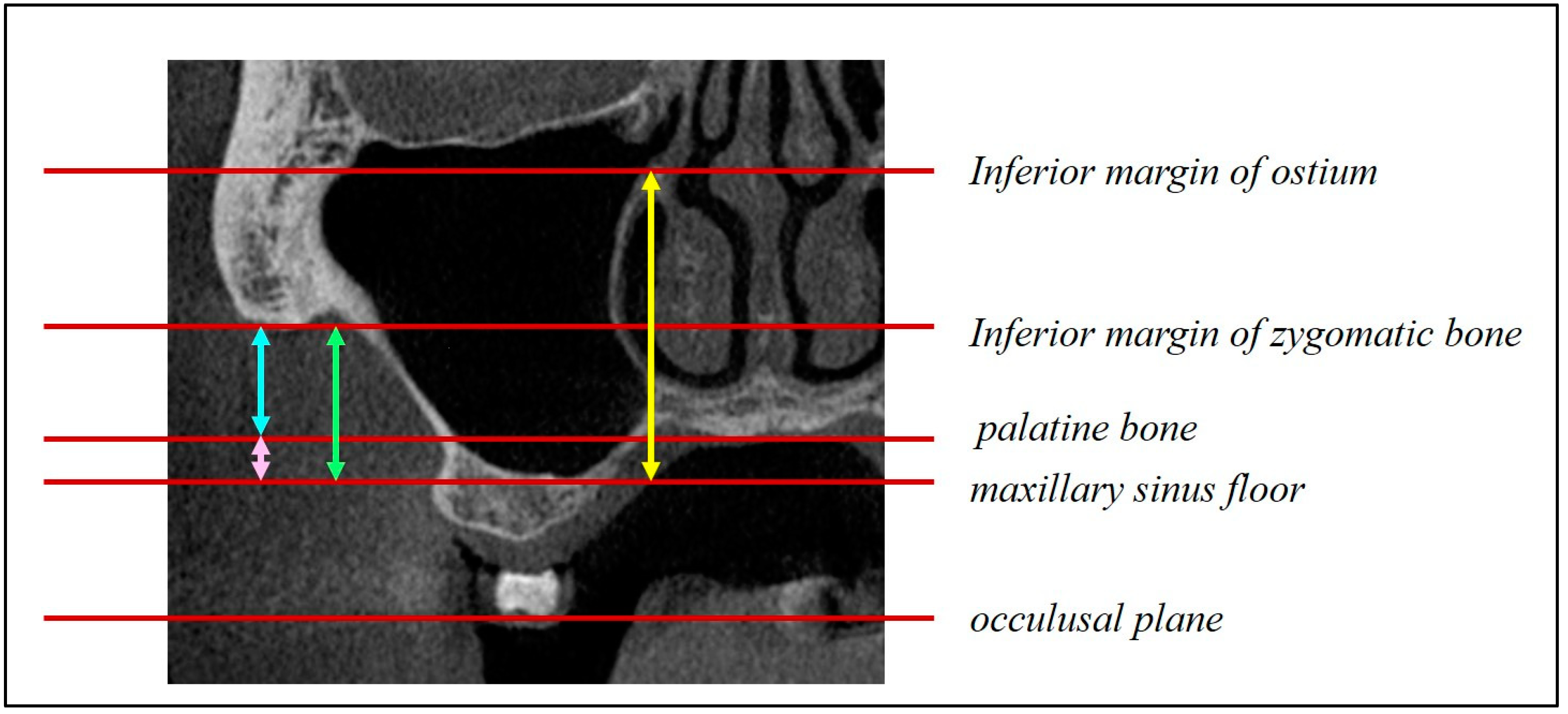 Preprints 83348 g007