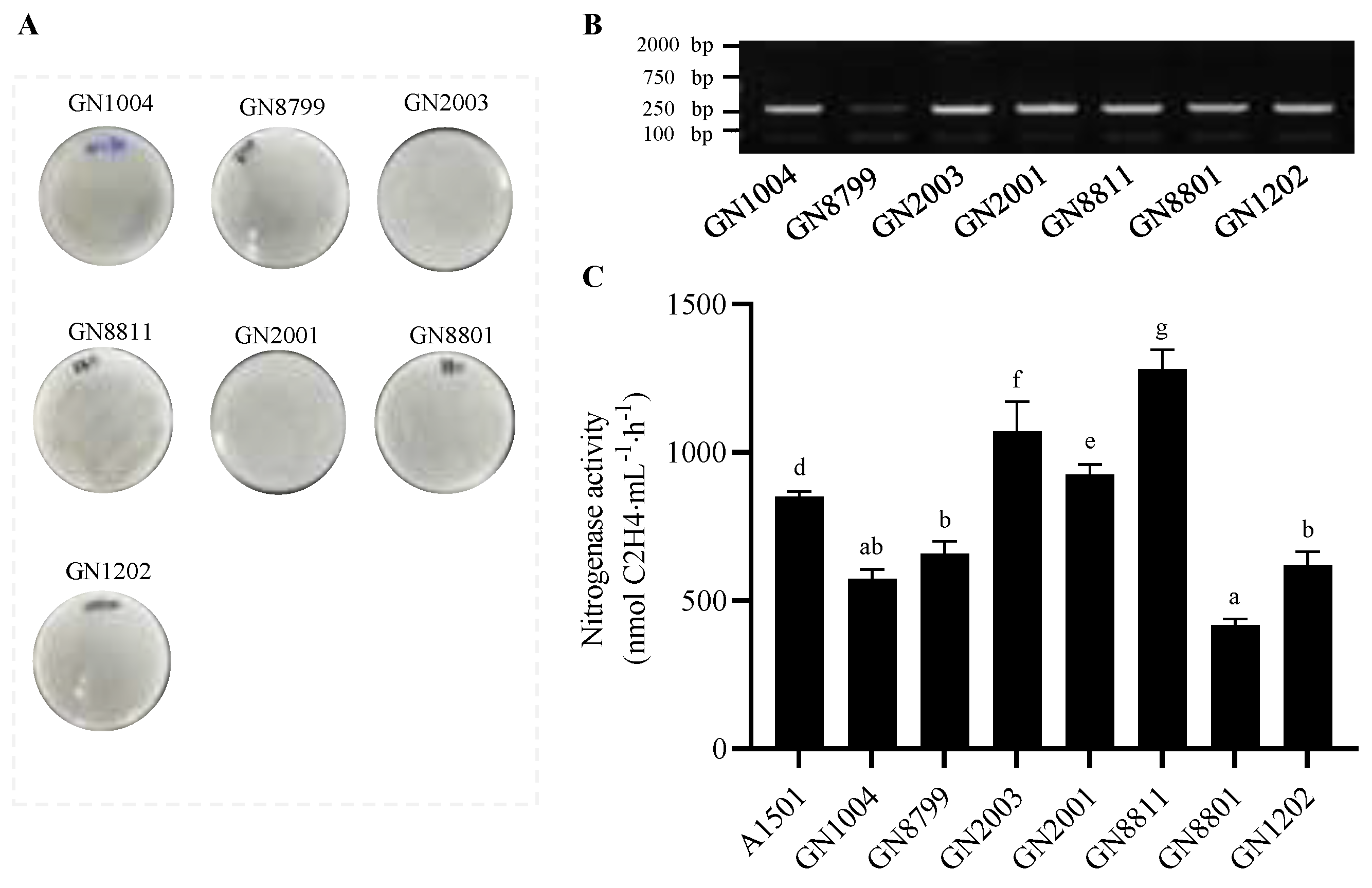 Preprints 200111 g001