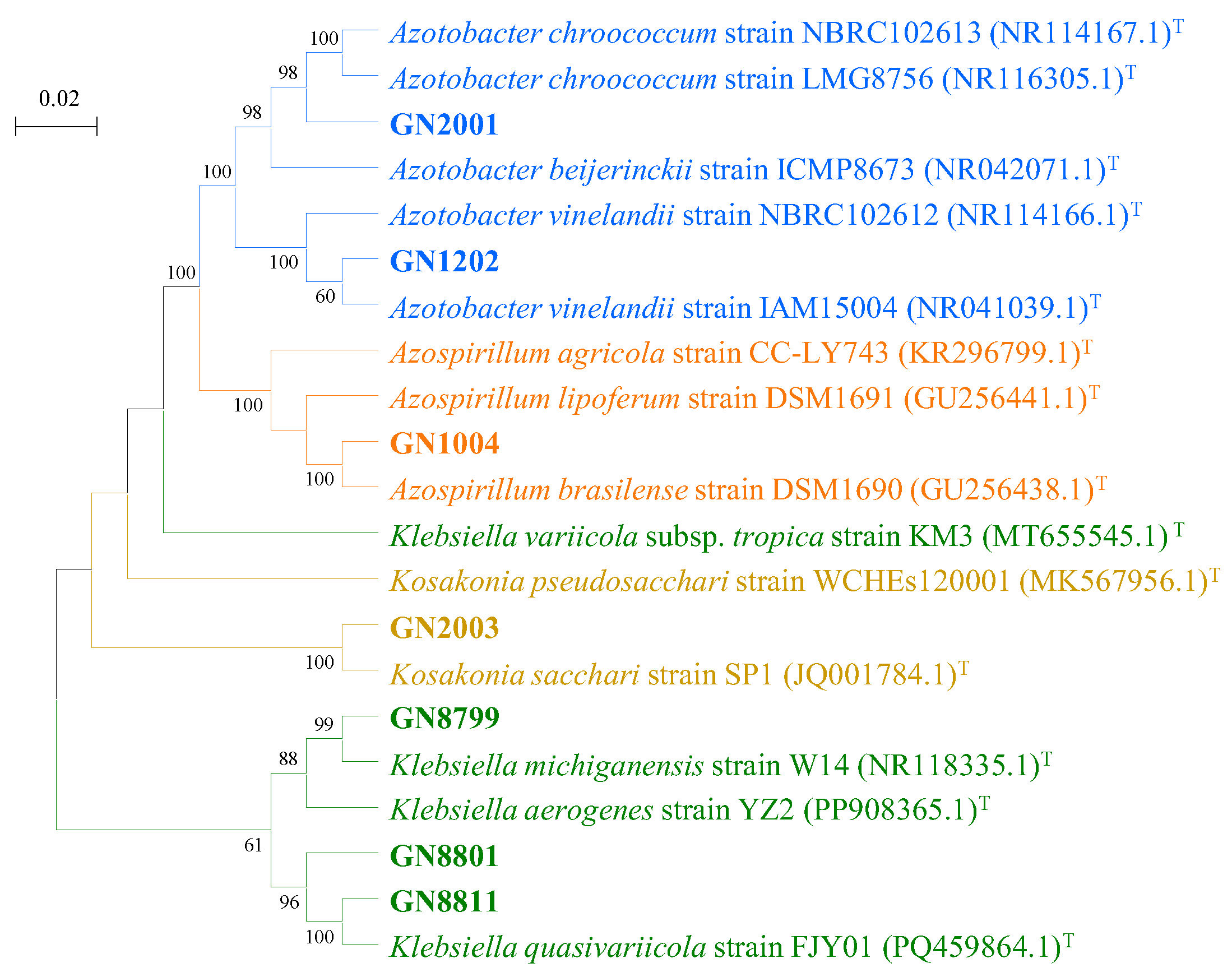 Preprints 200111 g002