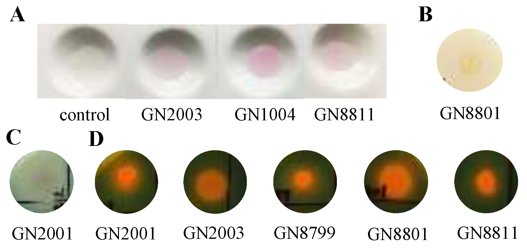 Preprints 200111 g003