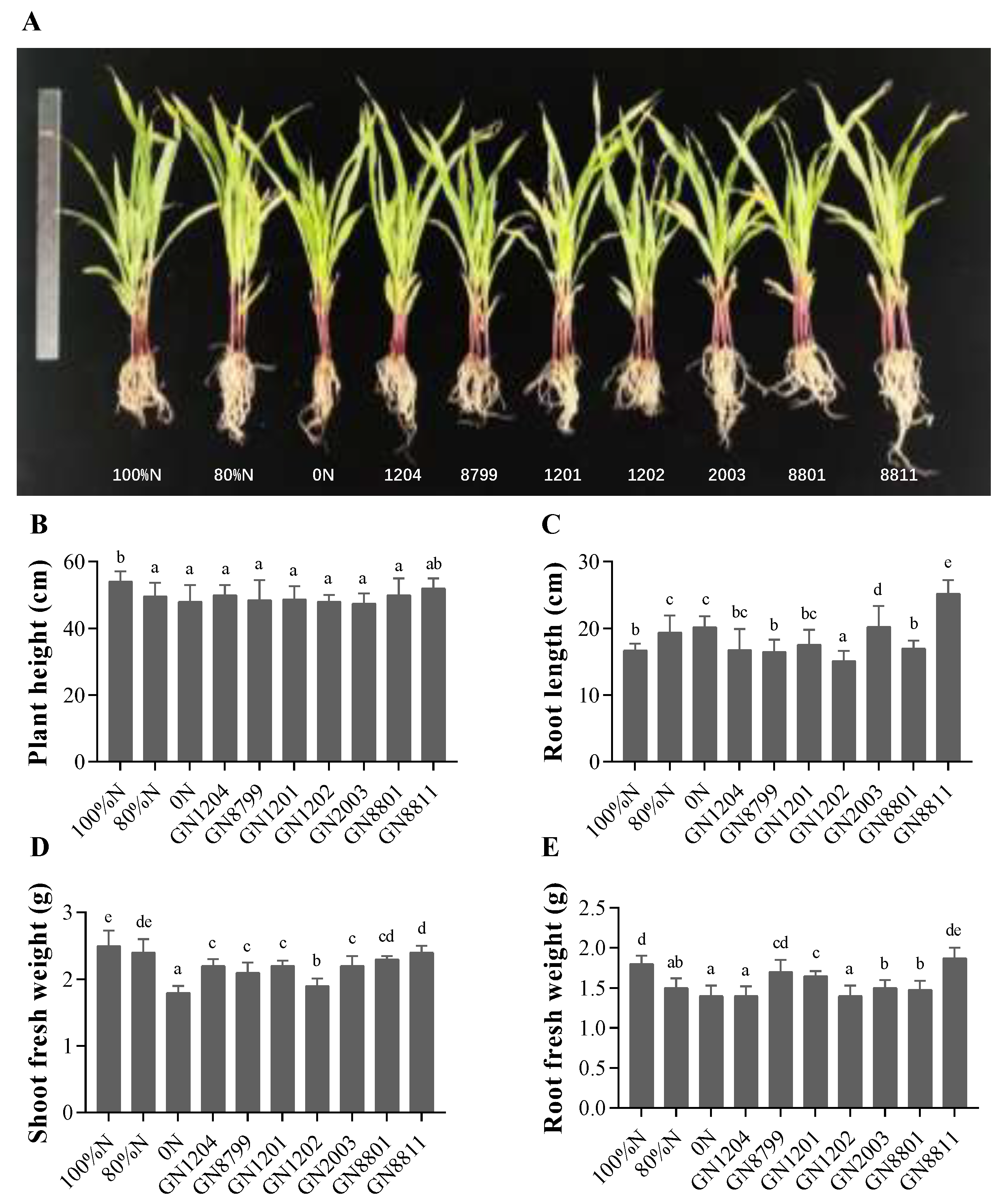 Preprints 200111 g005