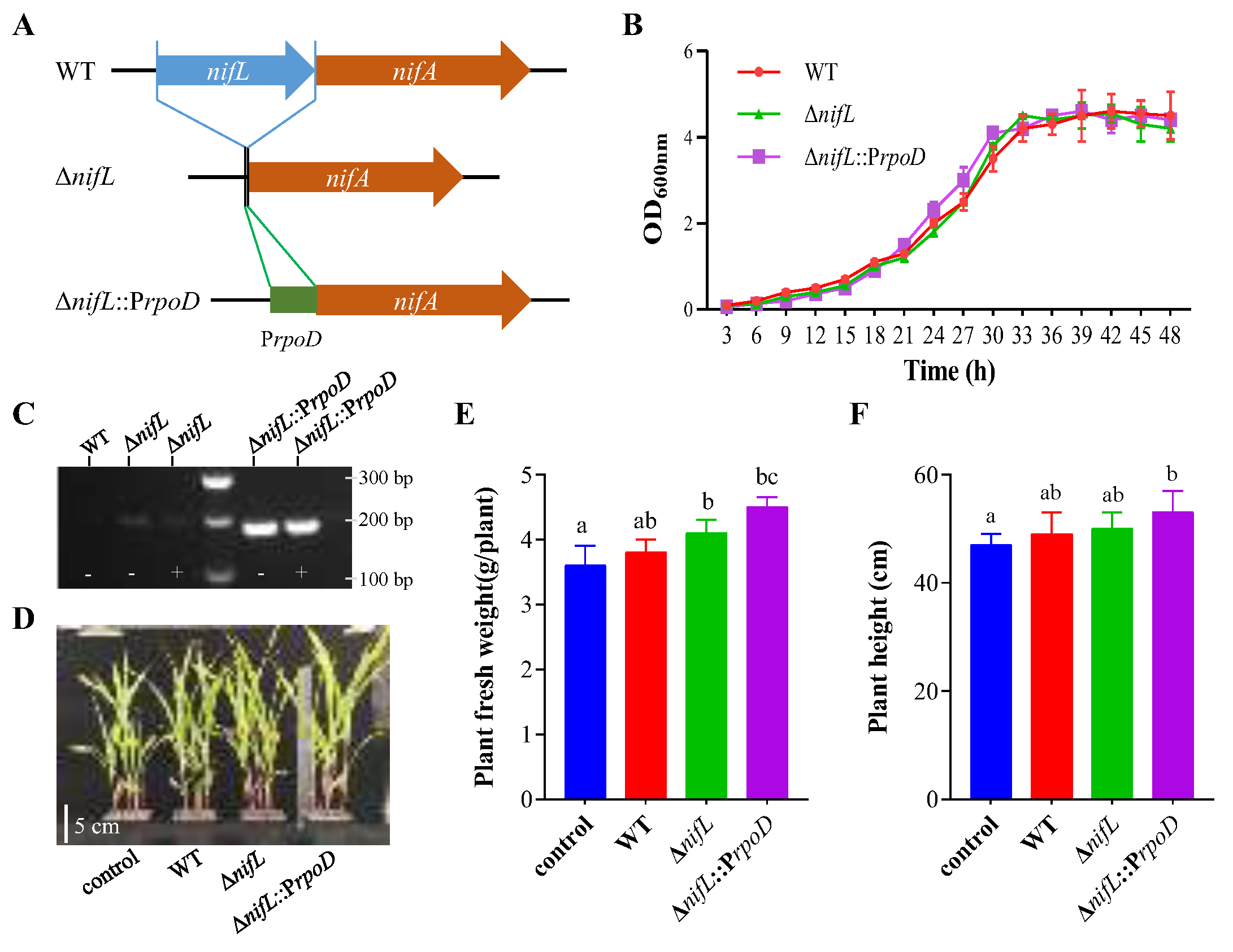 Preprints 200111 g006
