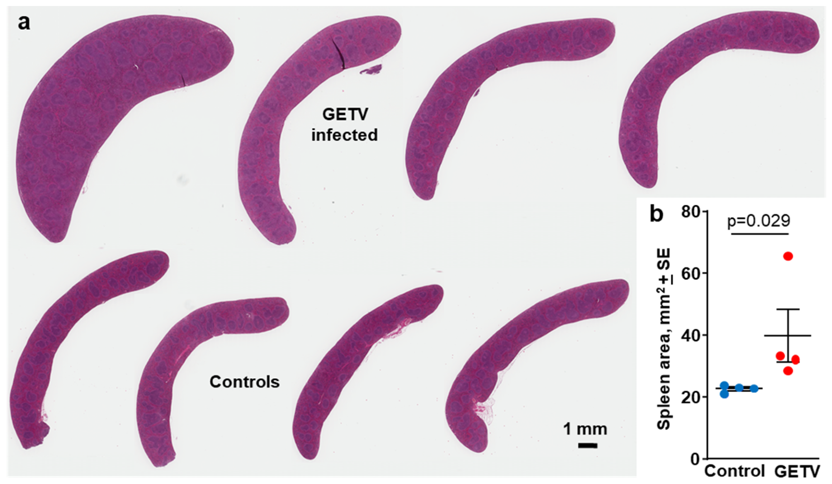 Preprints 230369 g003