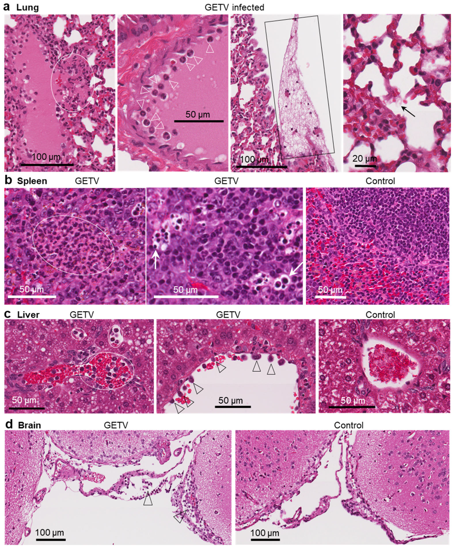 Preprints 230369 g004