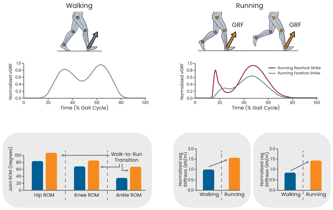 Walking as a Window to the Brain: Redefining Gait in Neurology[v1