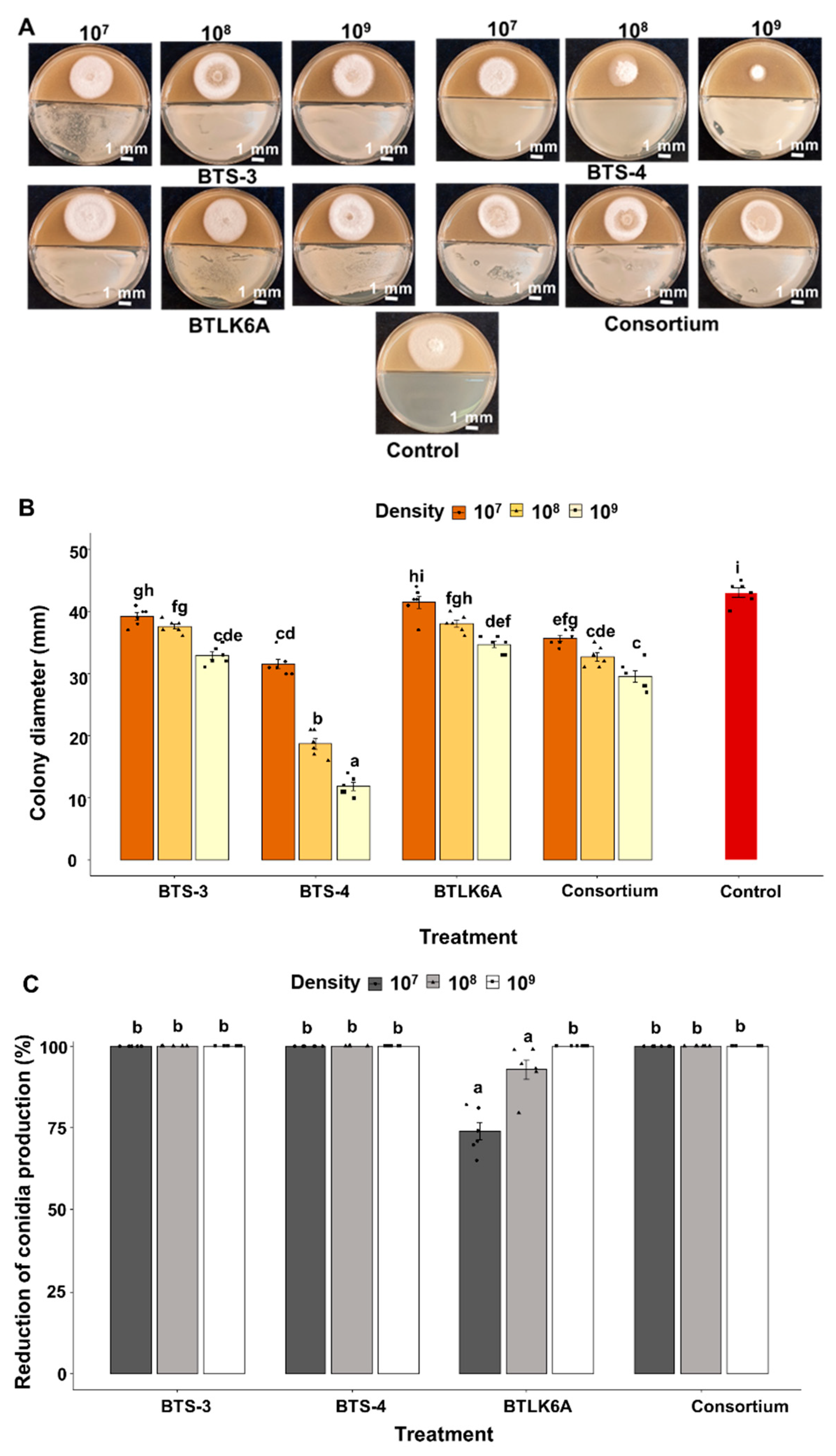 Preprints 71190 g001