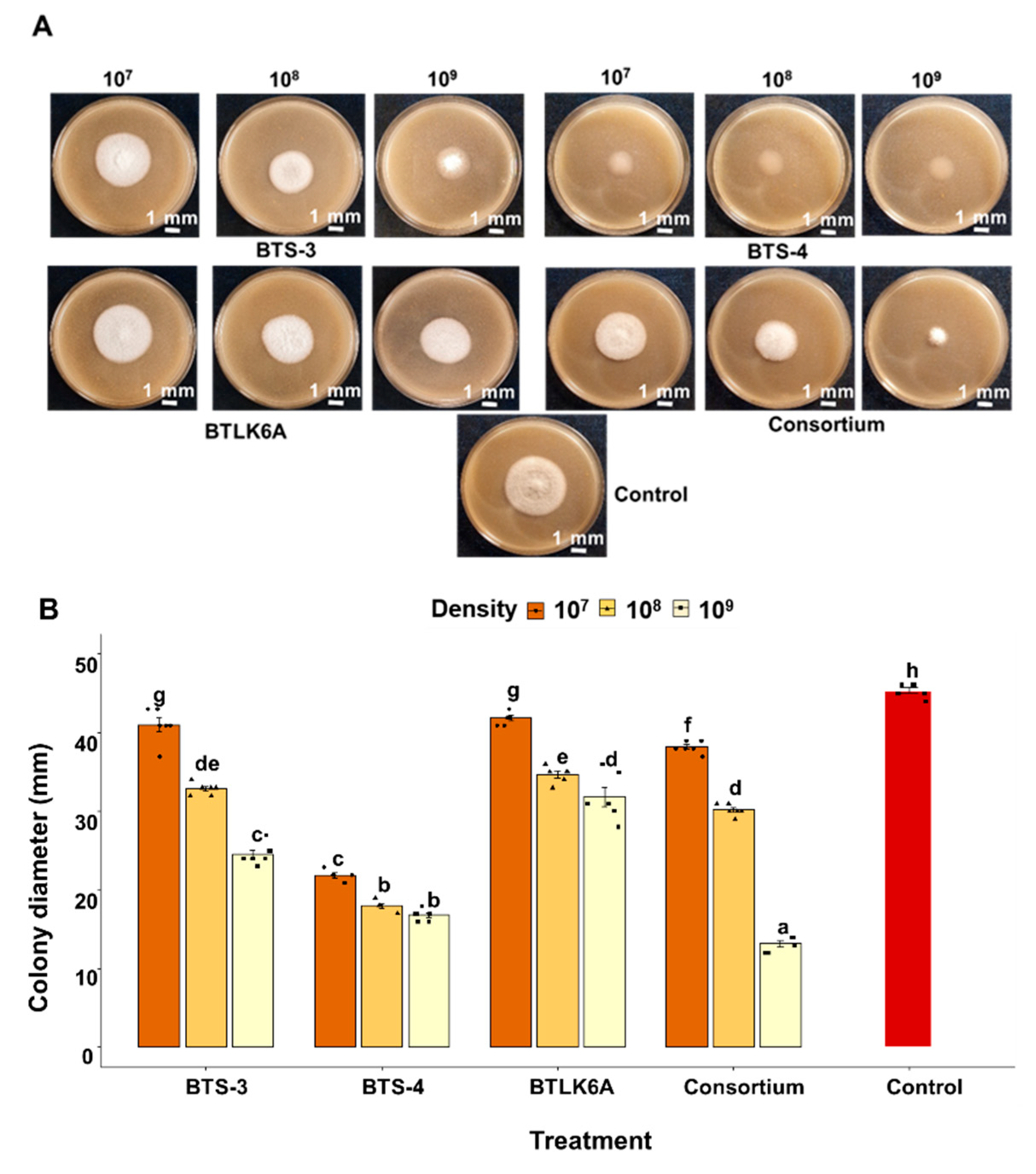 Preprints 71190 g002a