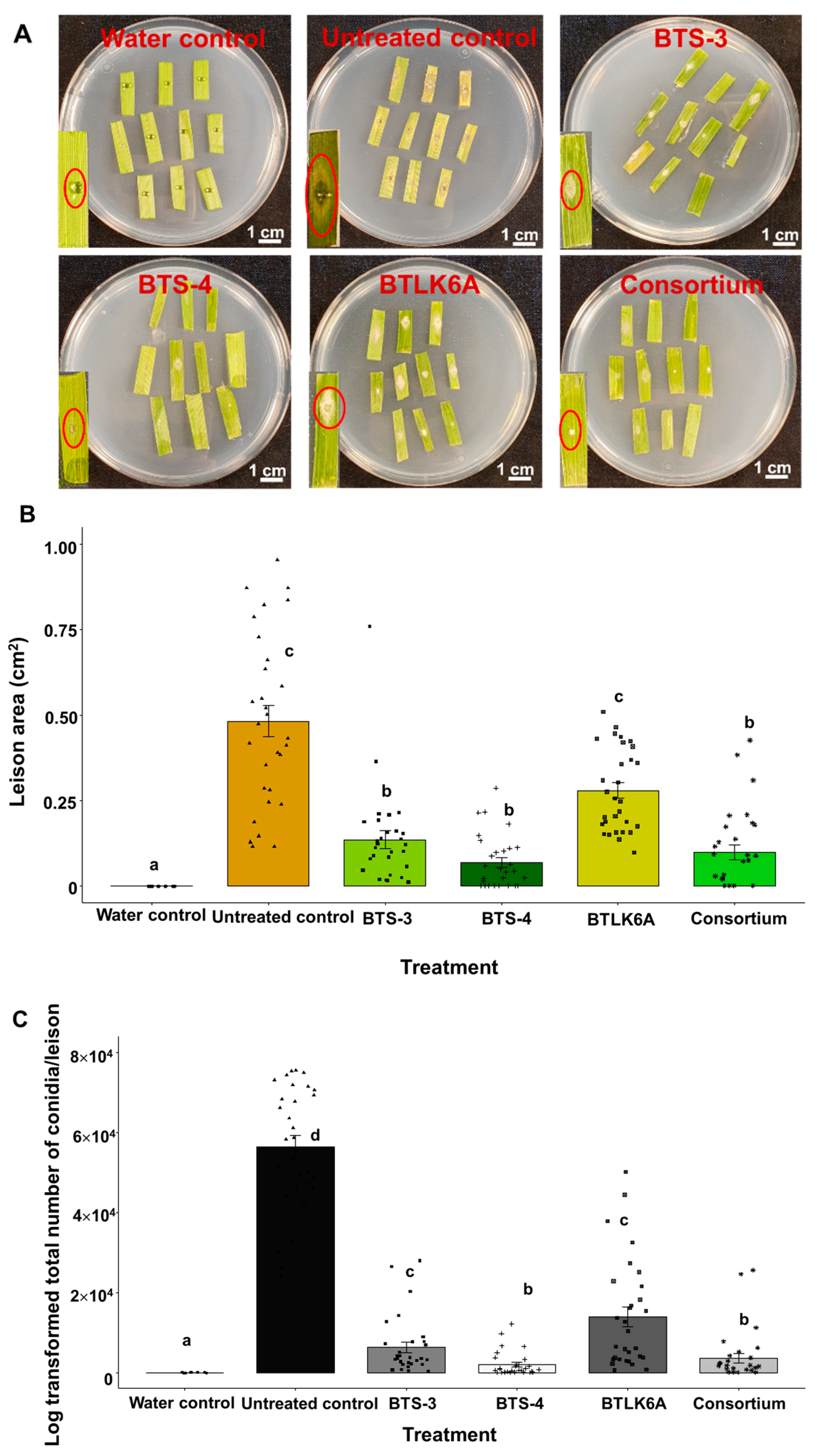 Preprints 71190 g003