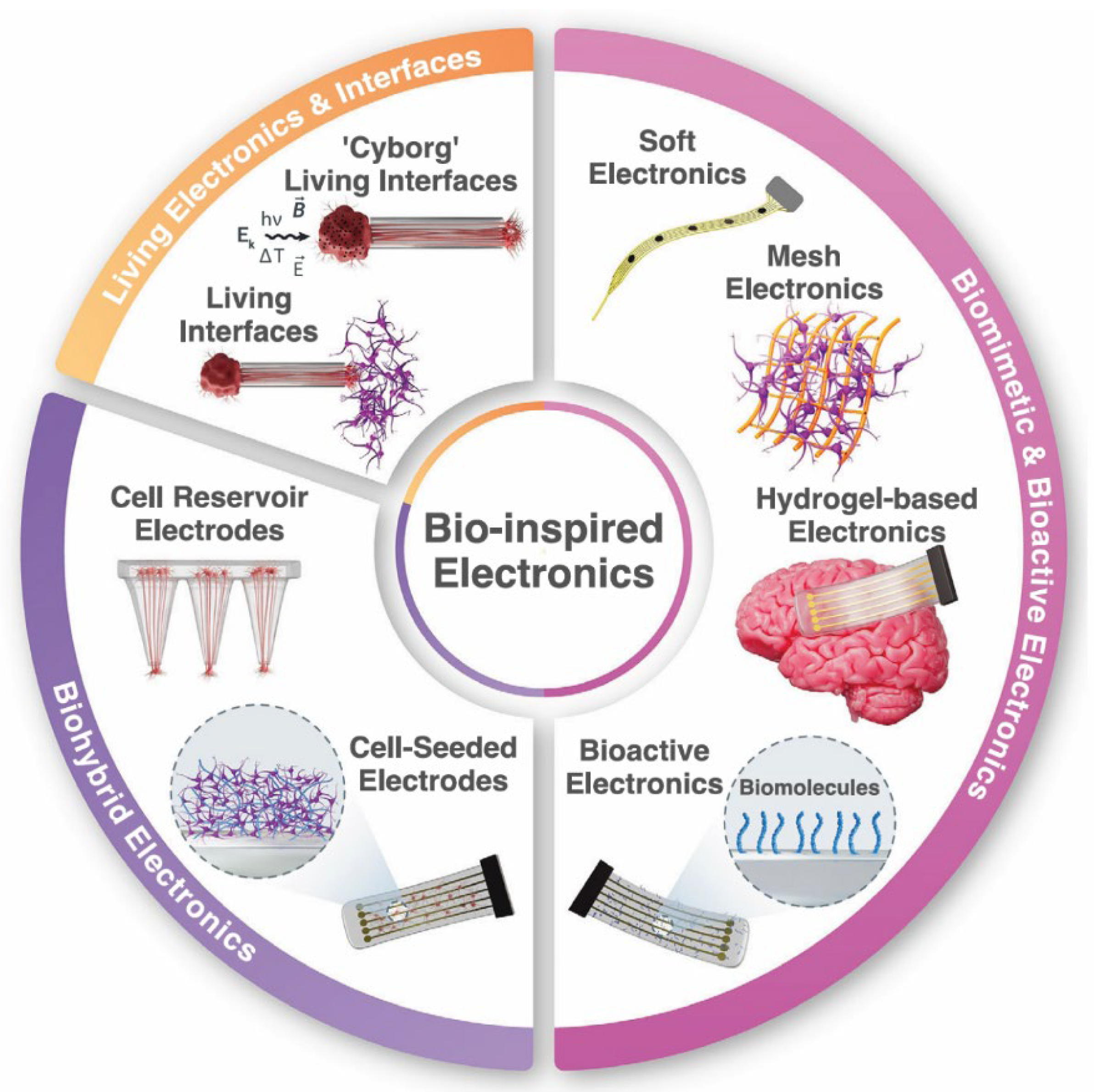 Preprints 169224 g002