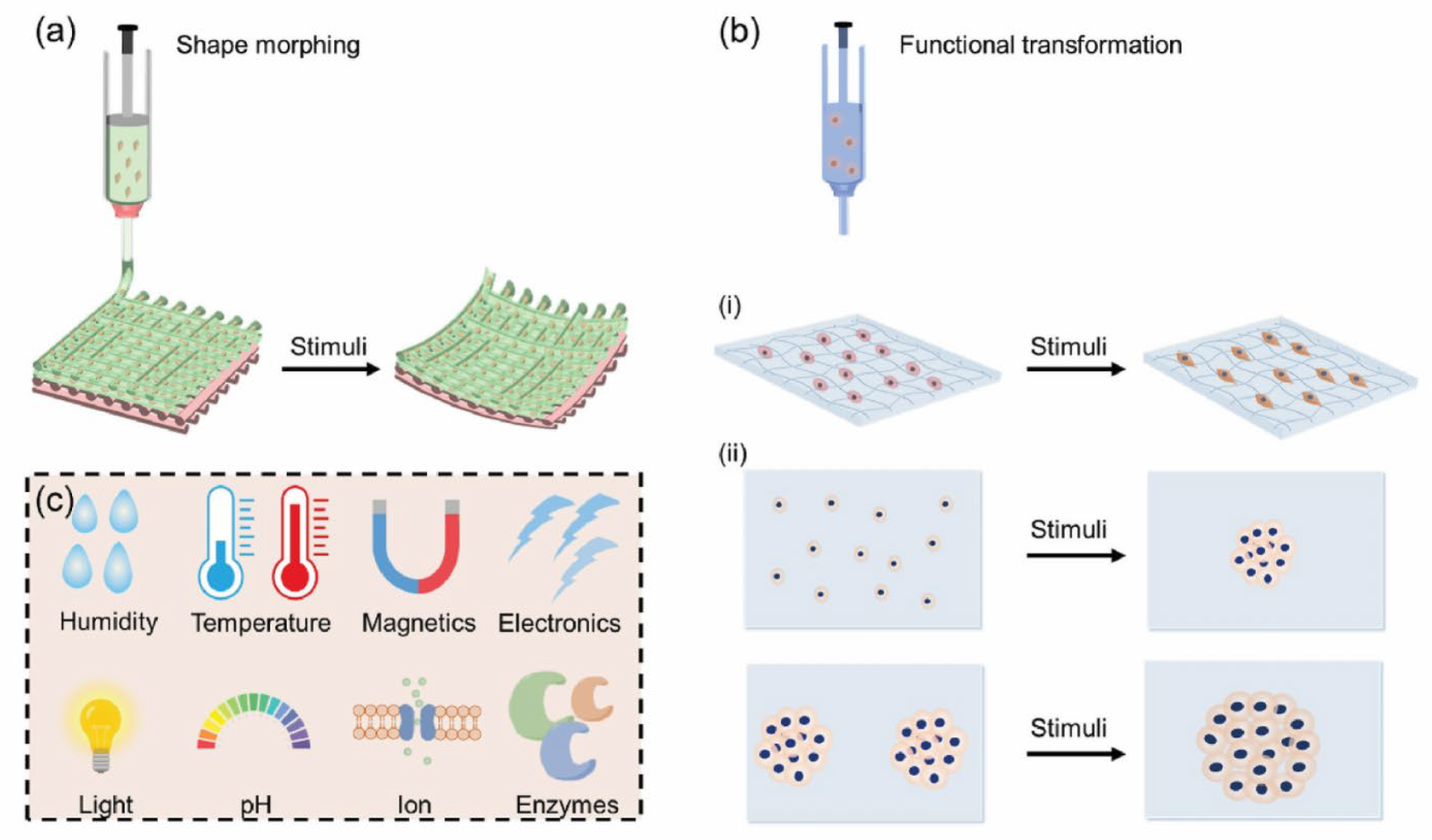Preprints 169224 g003