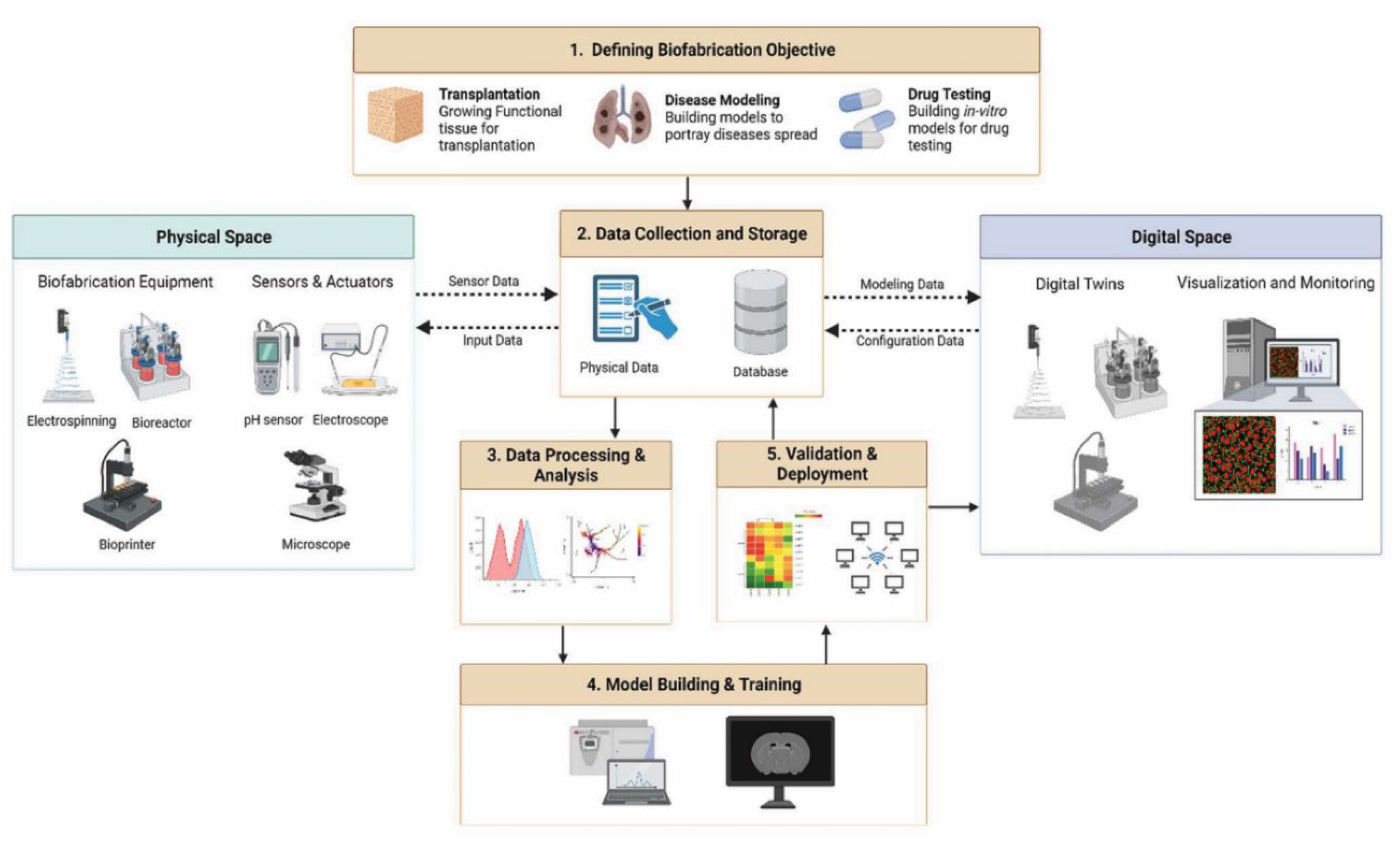 Preprints 169224 g005