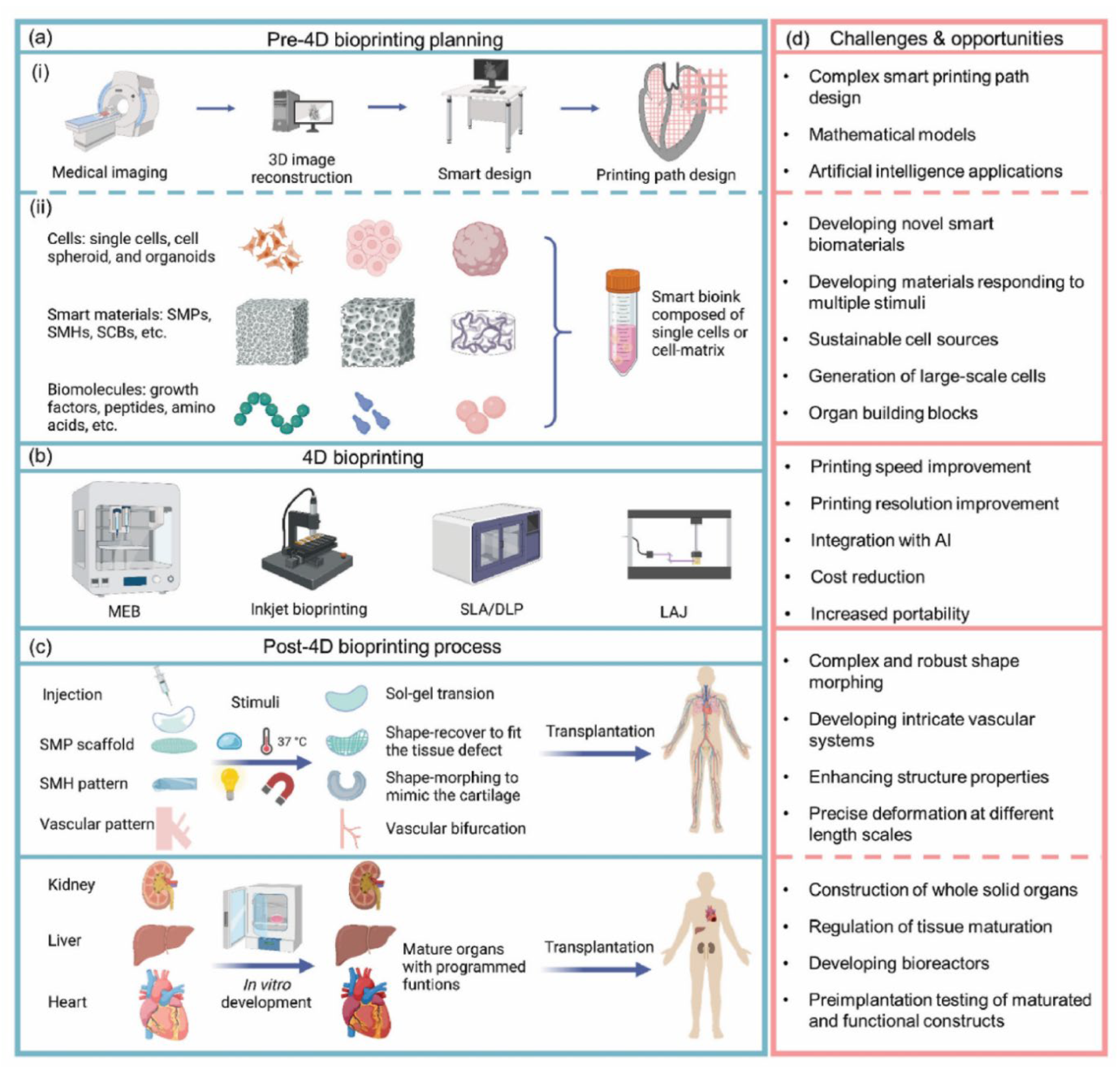 Preprints 169224 g007
