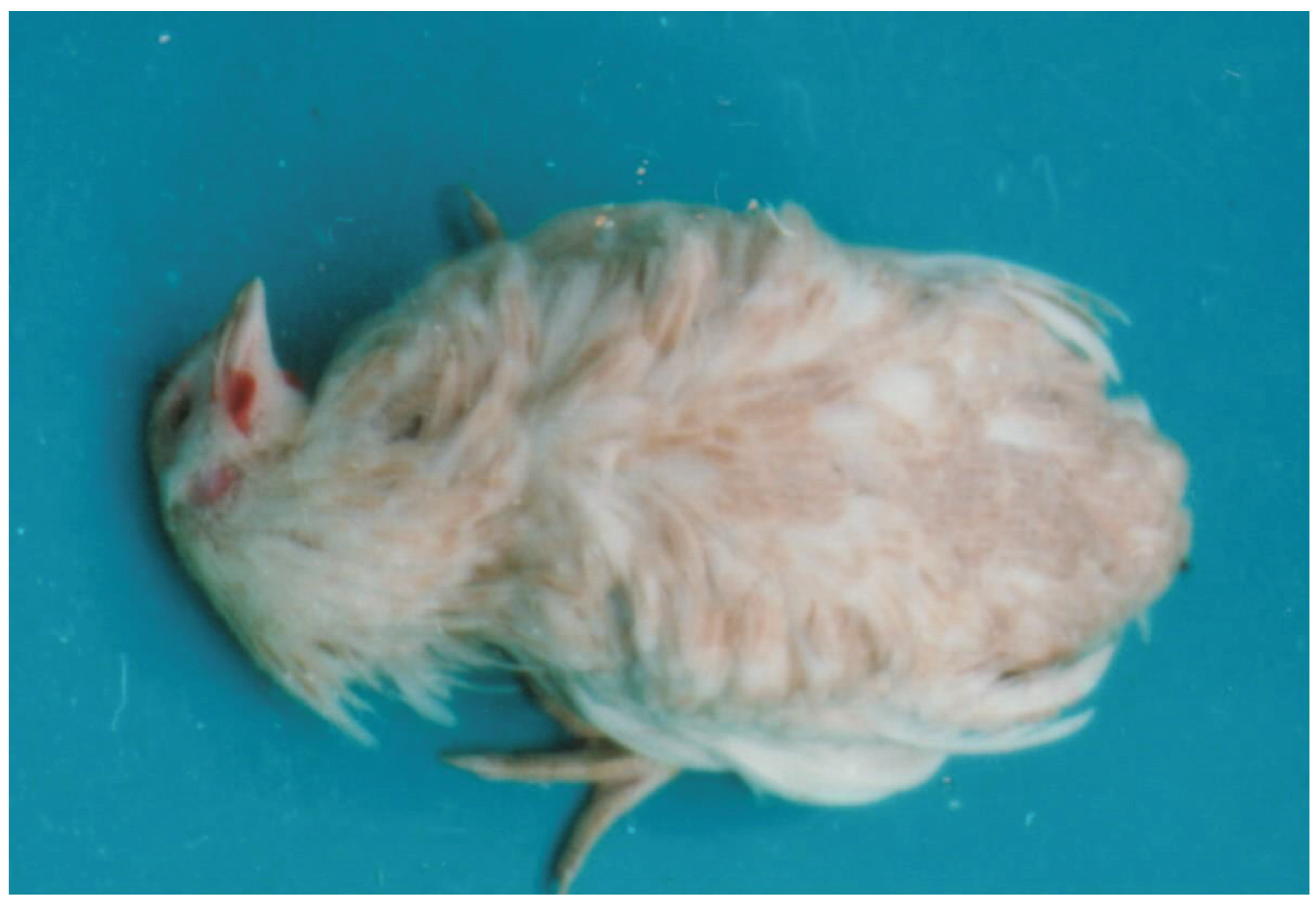 Preprints 99523 g003