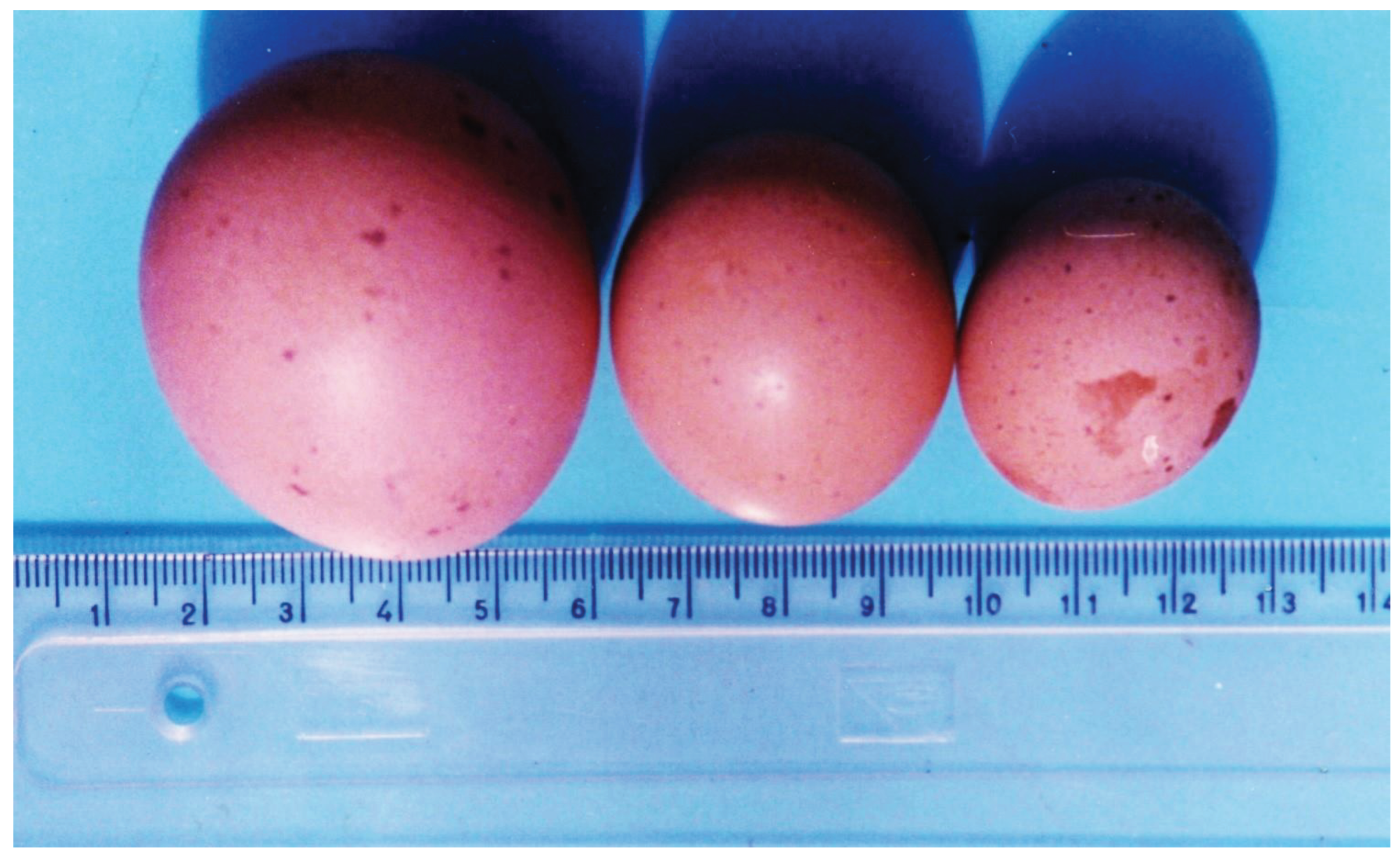 Preprints 99523 g004