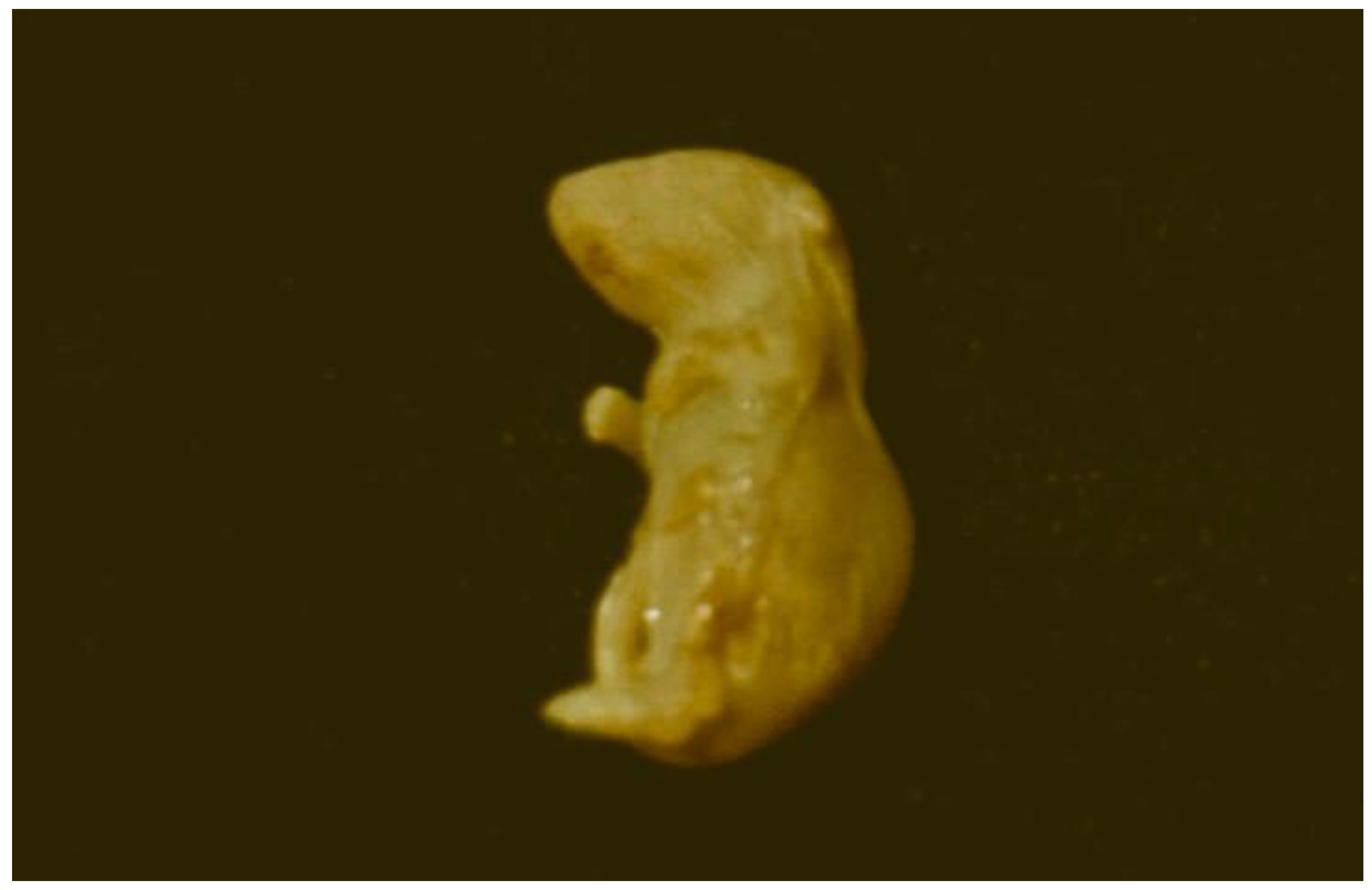 Preprints 99523 g006