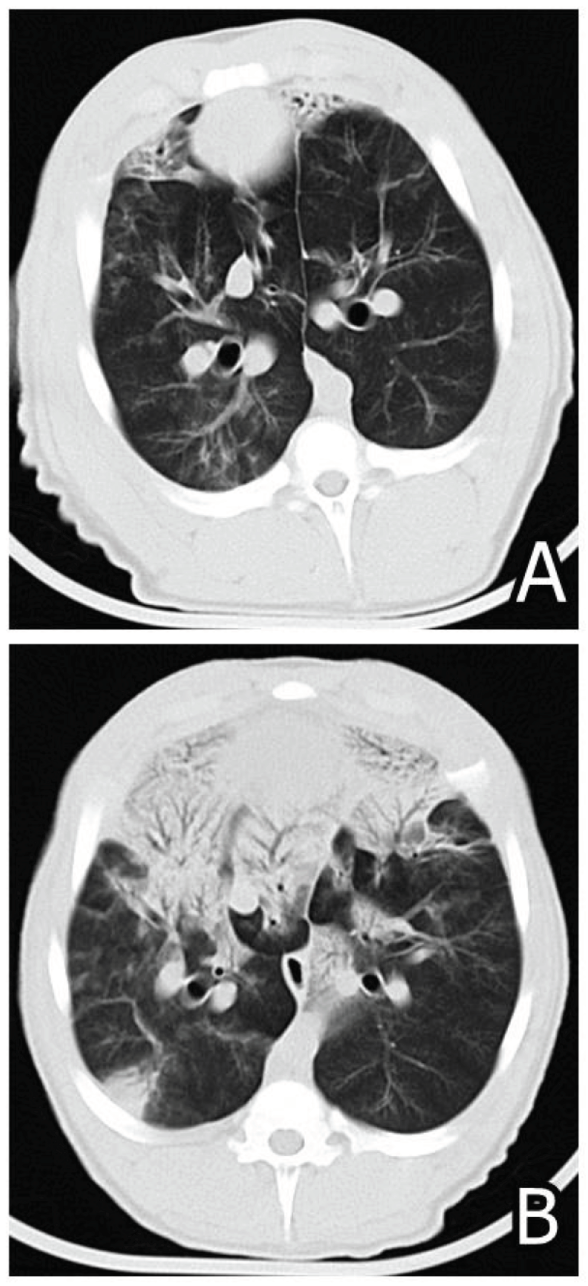 Preprints 99523 g007