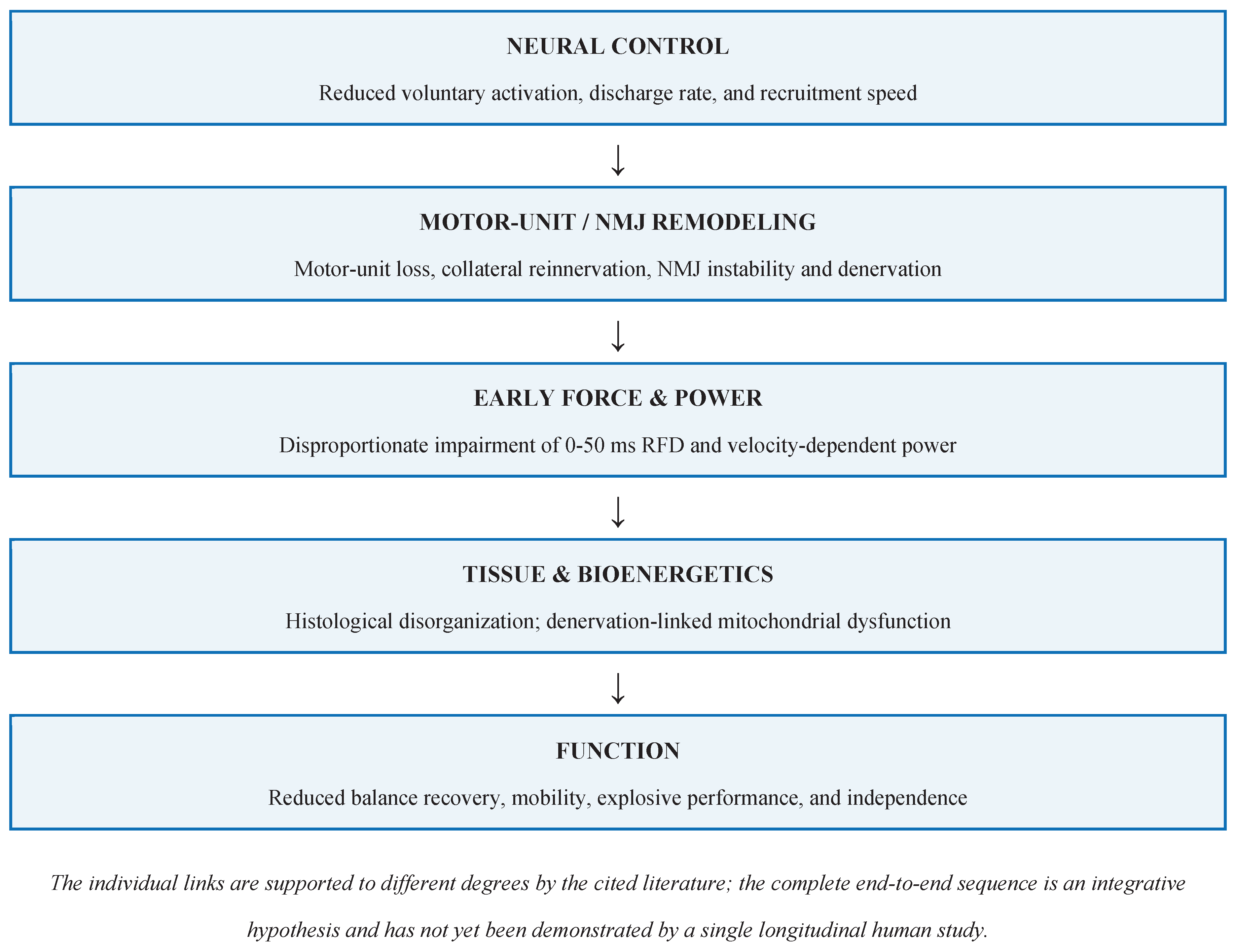 Preprints 232979 g001