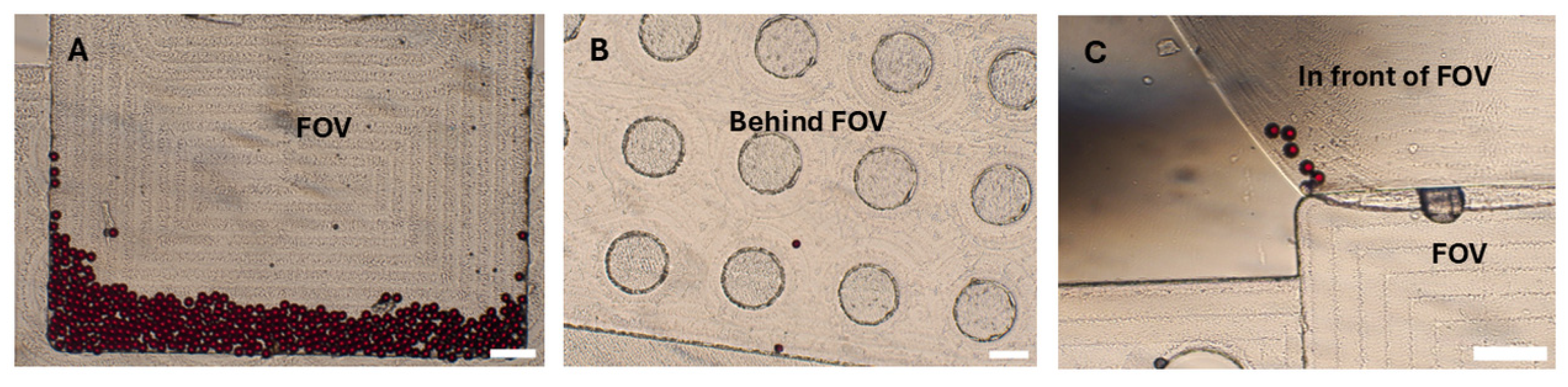 Preprints 159806 g004