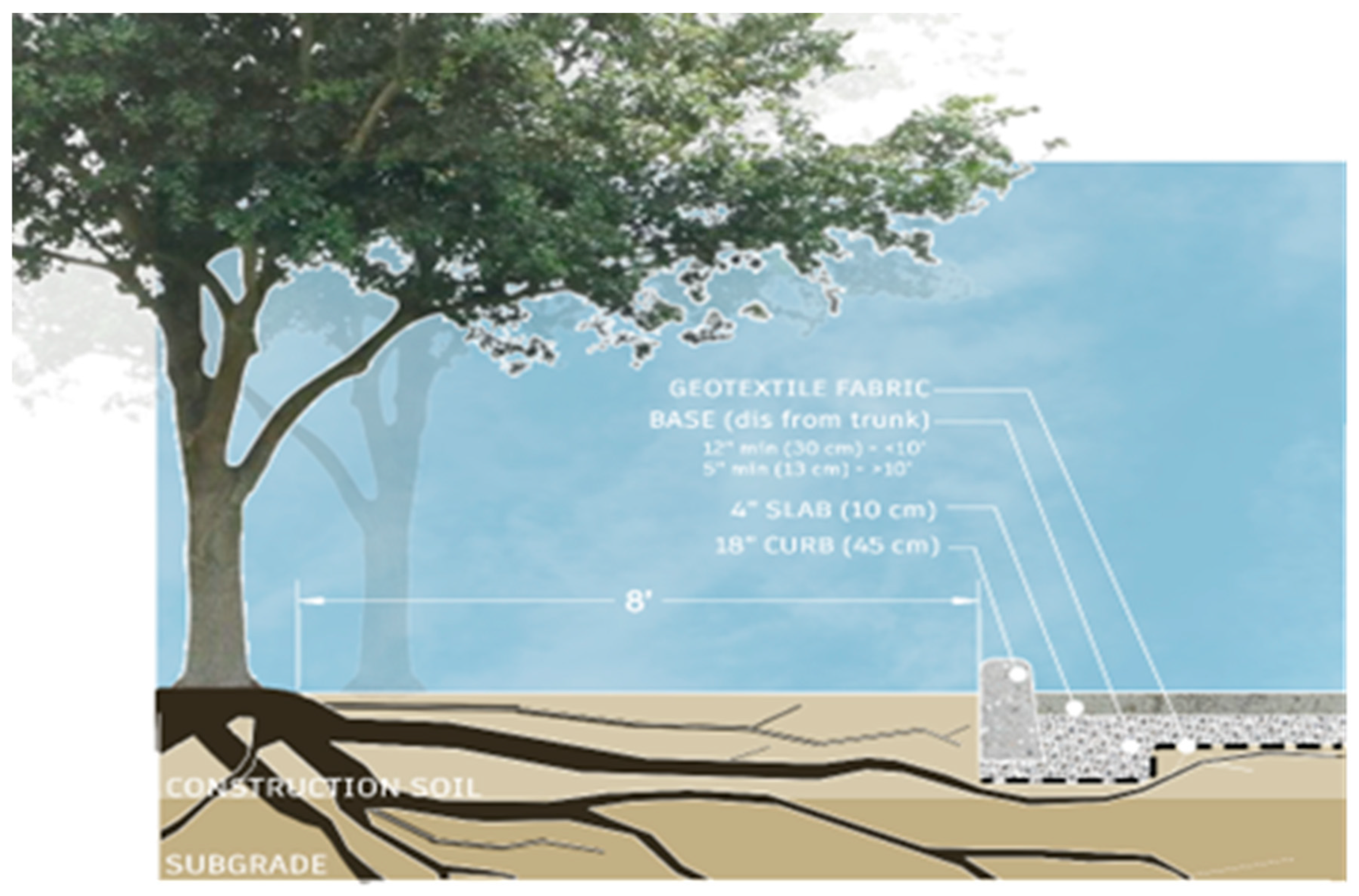 Preprints 193400 g006