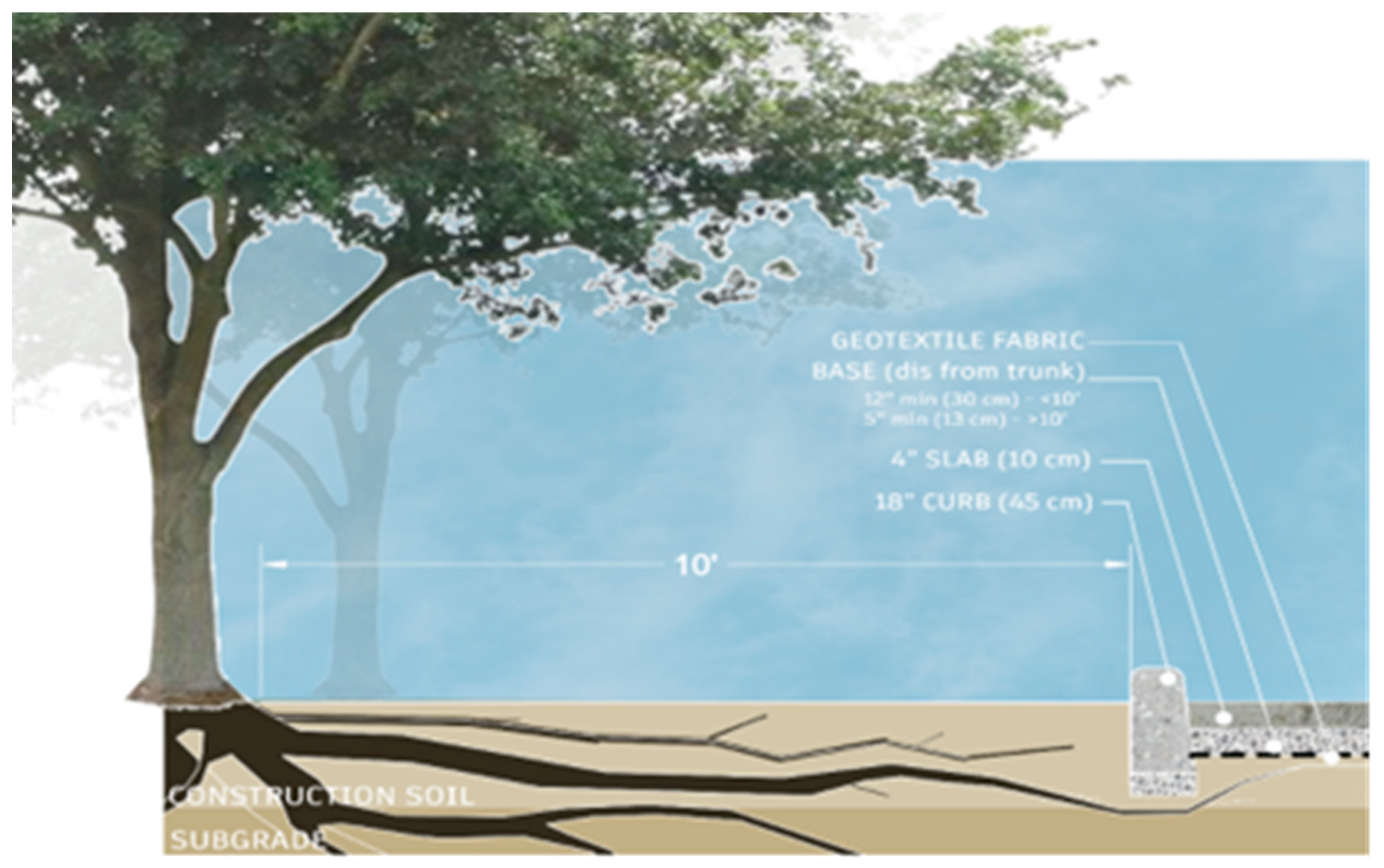 Preprints 193400 g007