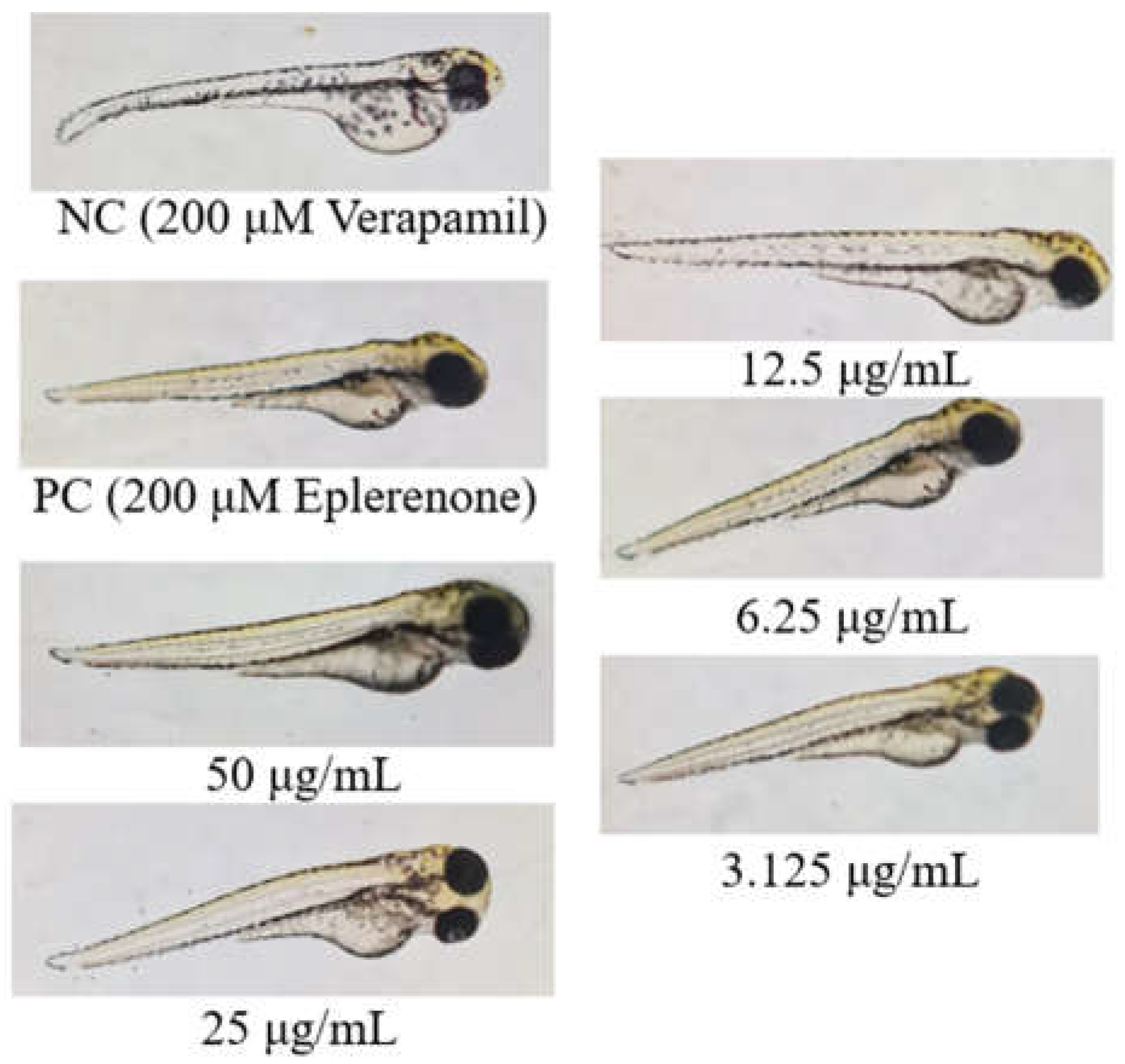 Preprints 142536 g005