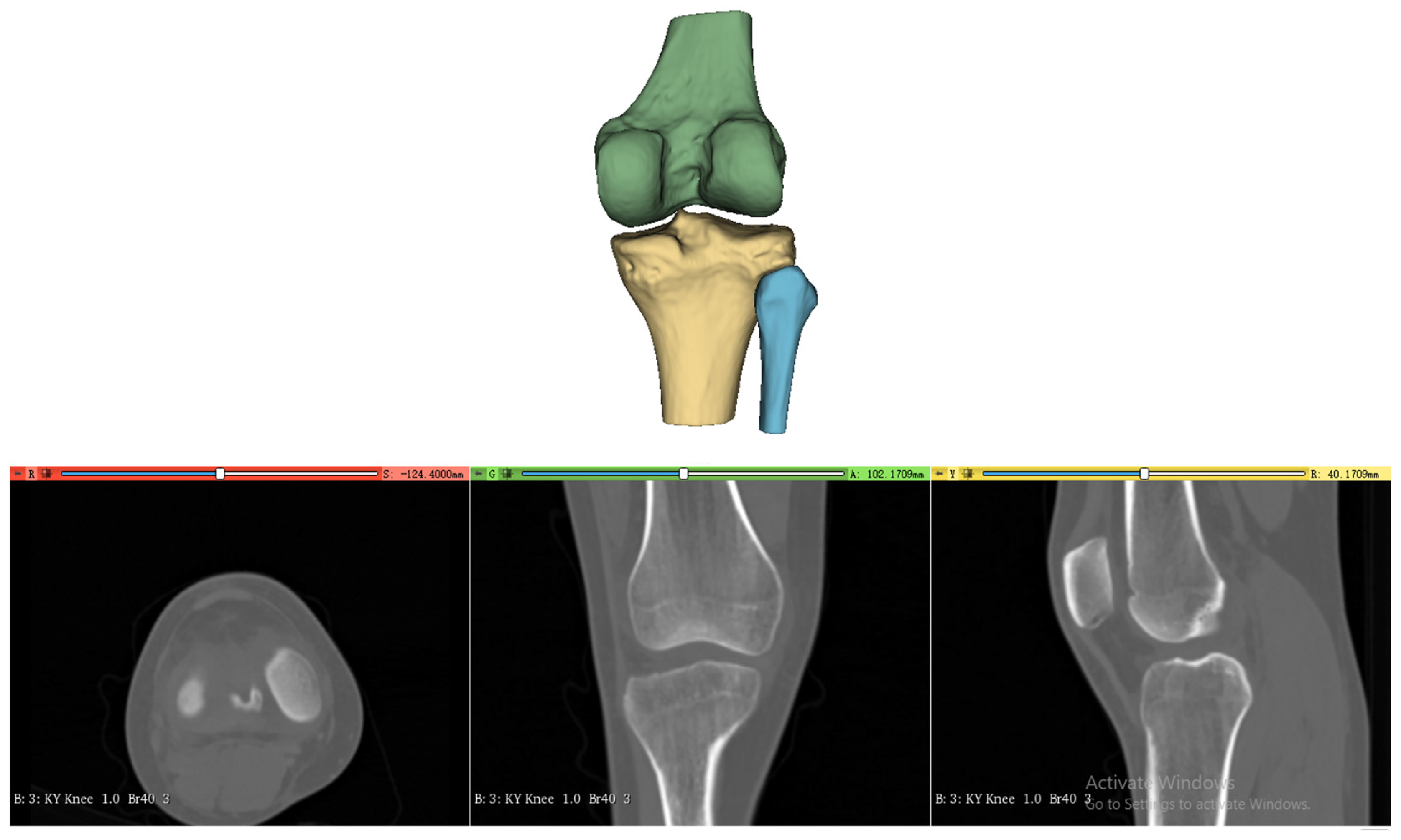 Preprints 152490 g002