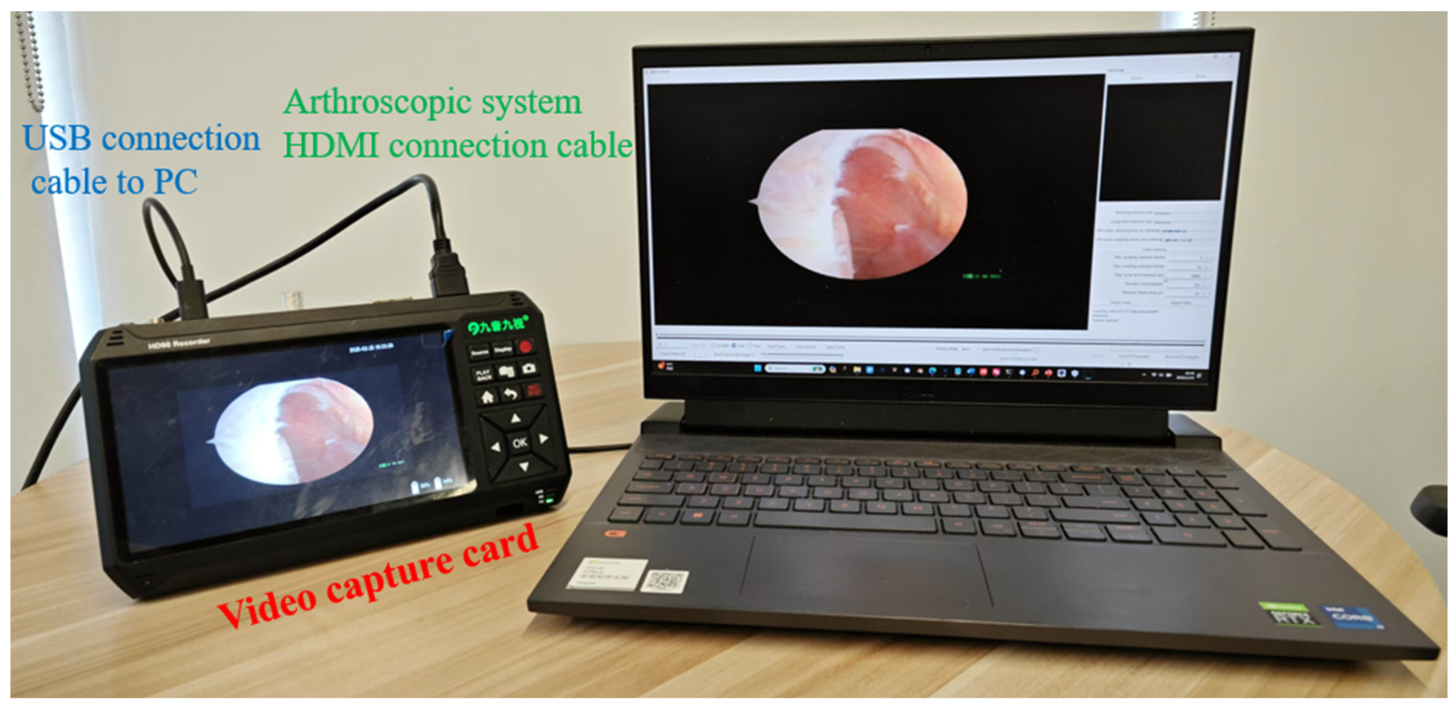 Preprints 152490 g012