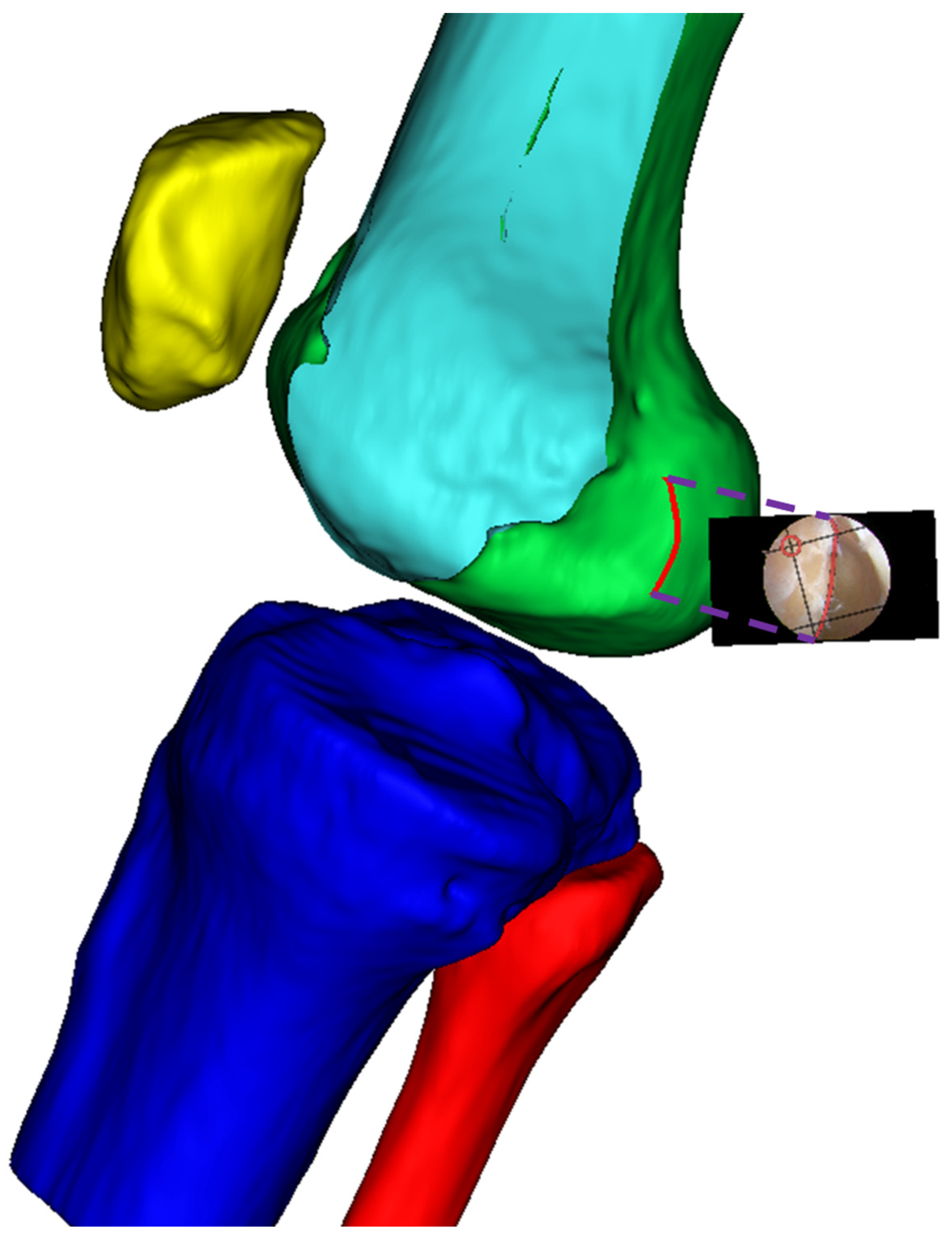 Preprints 152490 g013