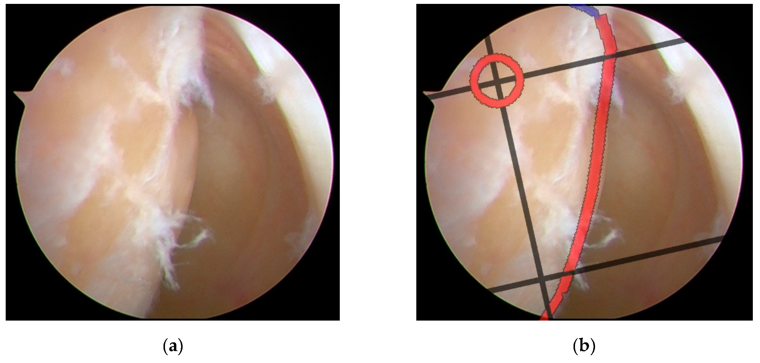 Preprints 152490 g014