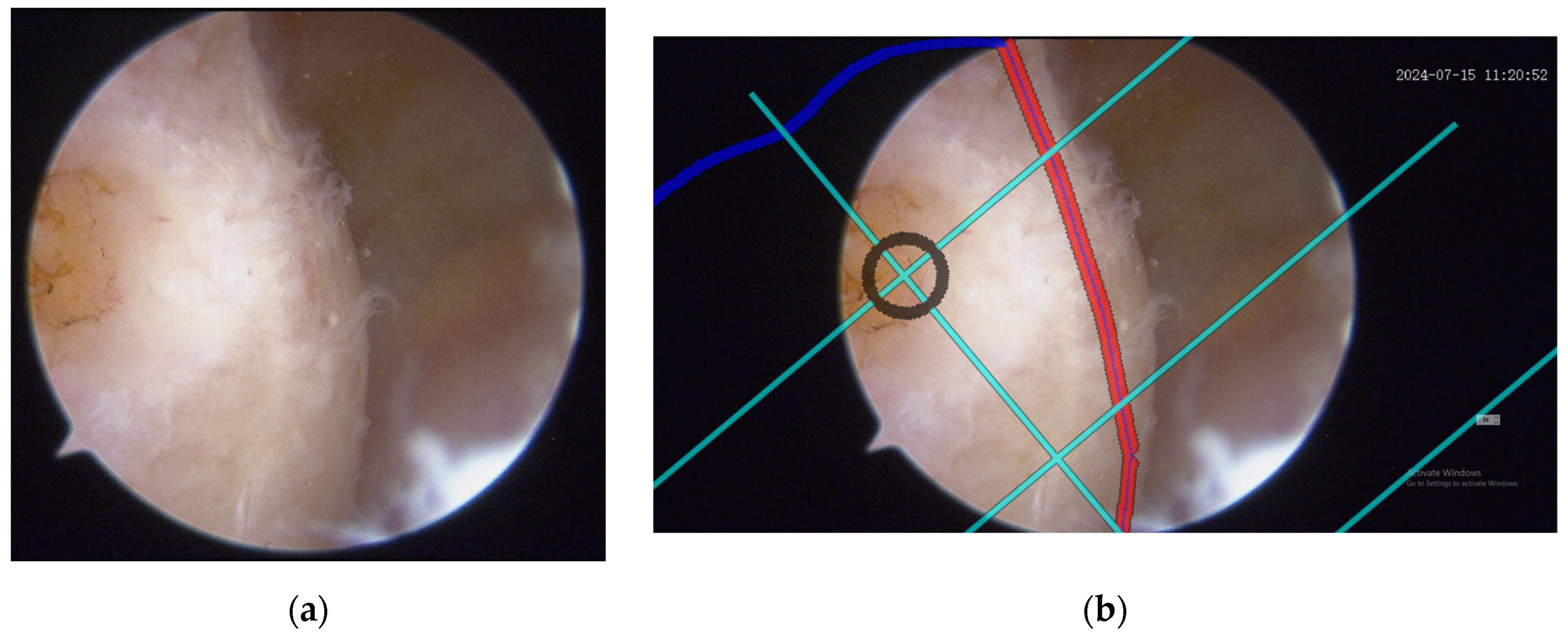 Preprints 152490 g015