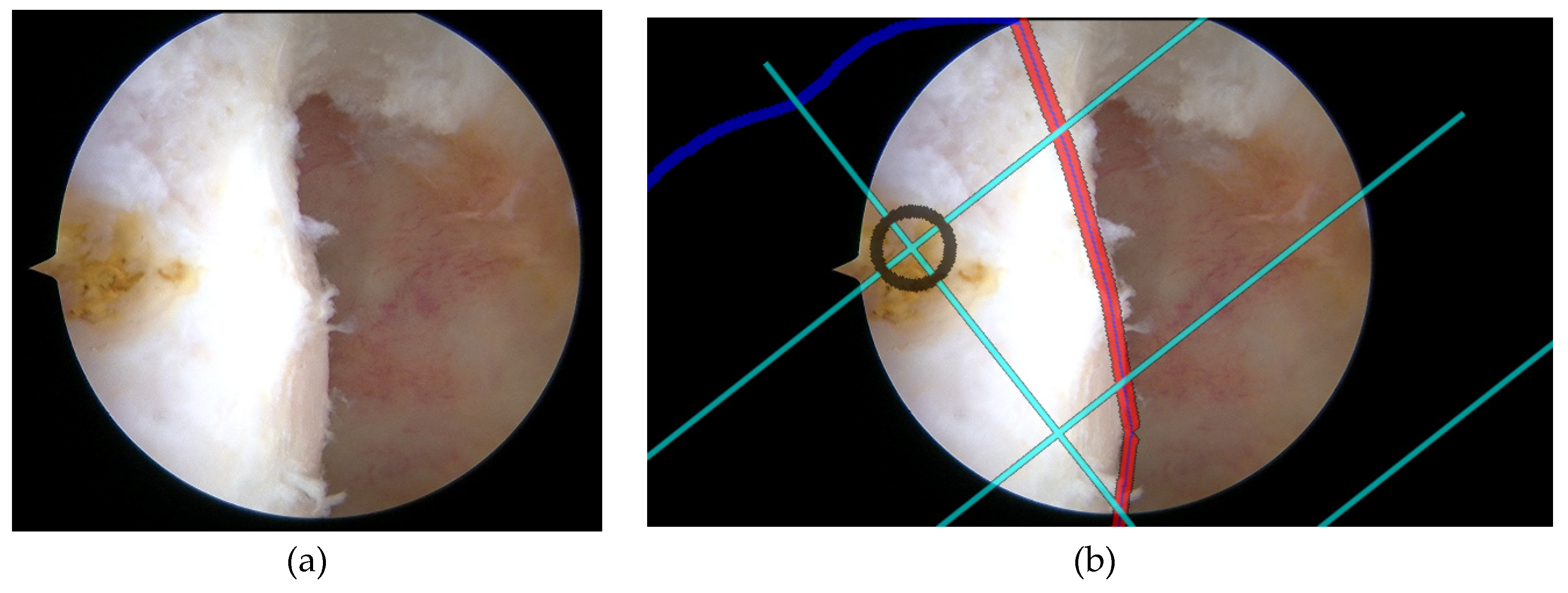 Preprints 152490 g016