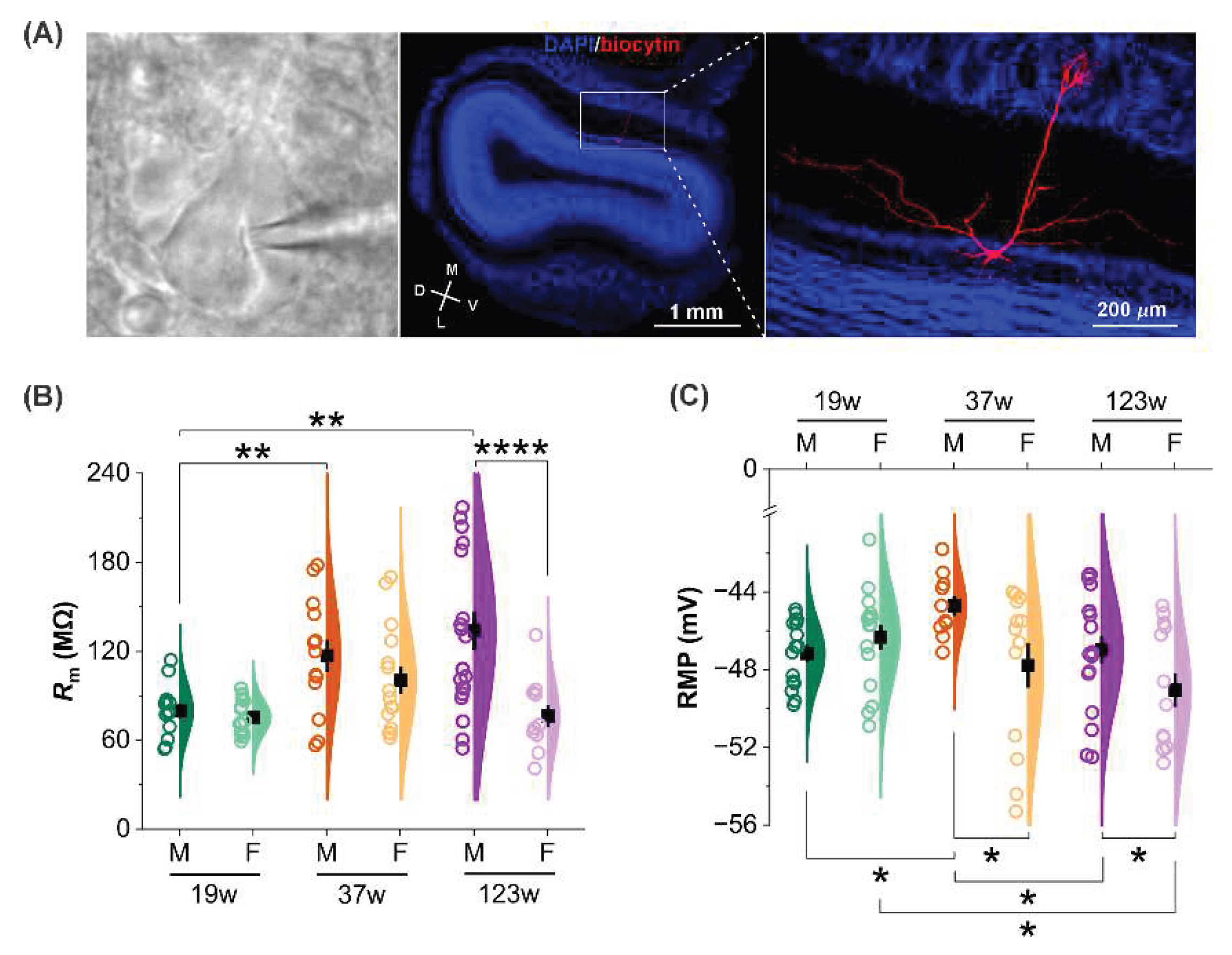 Preprints 199494 g002